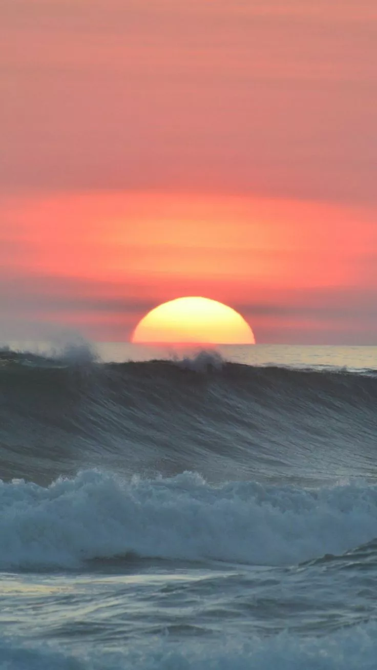 Nature 4K Wallpaper 81