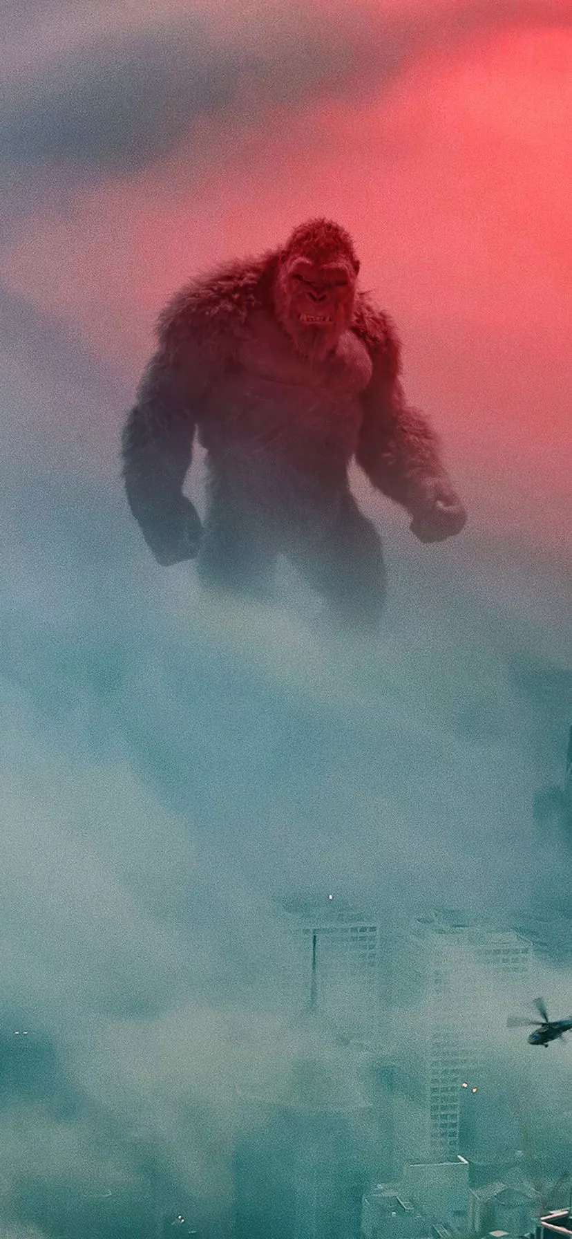 King Kong, Movie, Godzilla Vs Kong