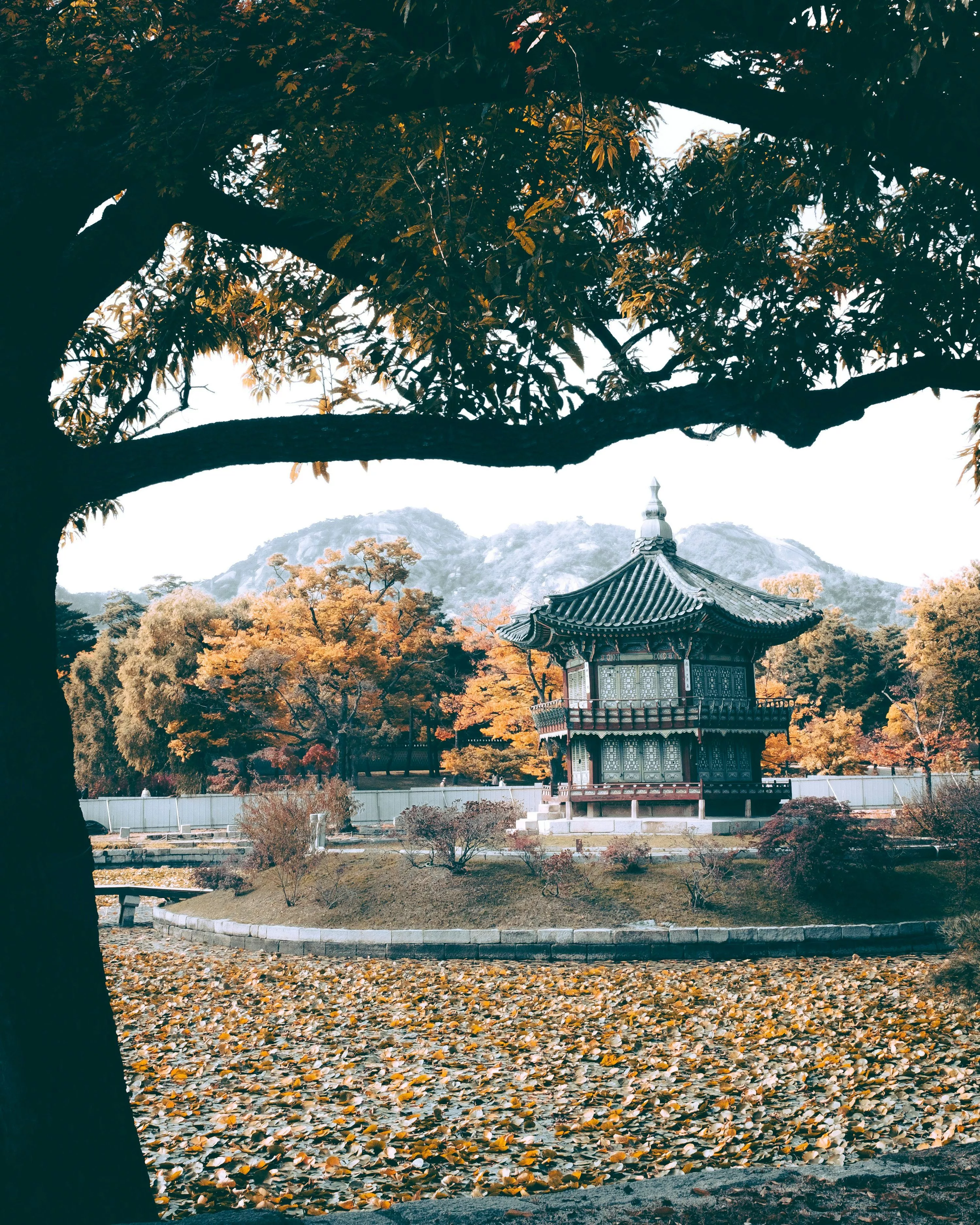 Gyeongbokgung Palace Picture