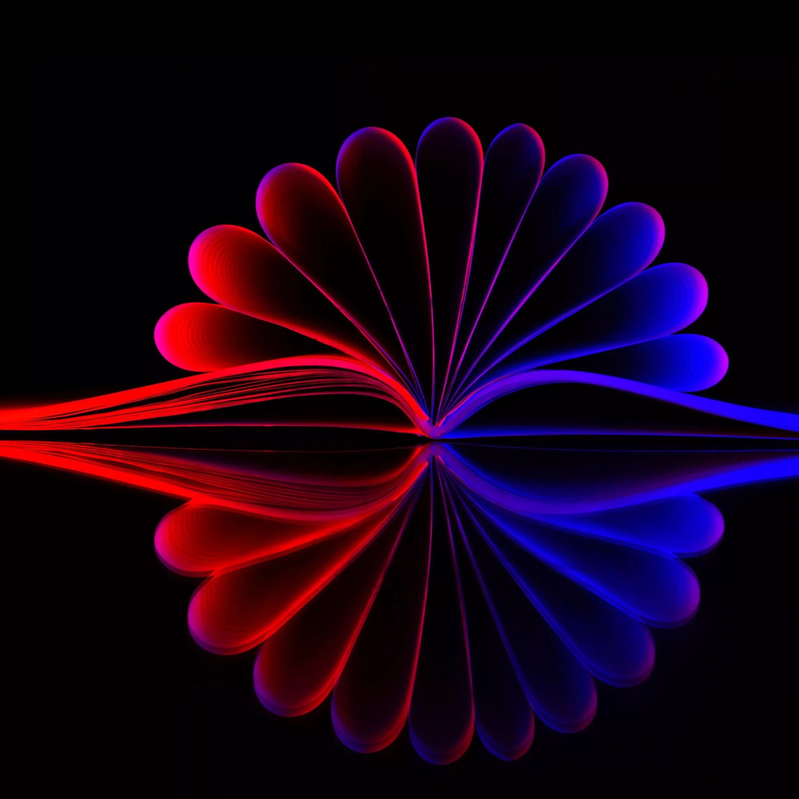 Wallpaper 4K, Illustration, Reflection