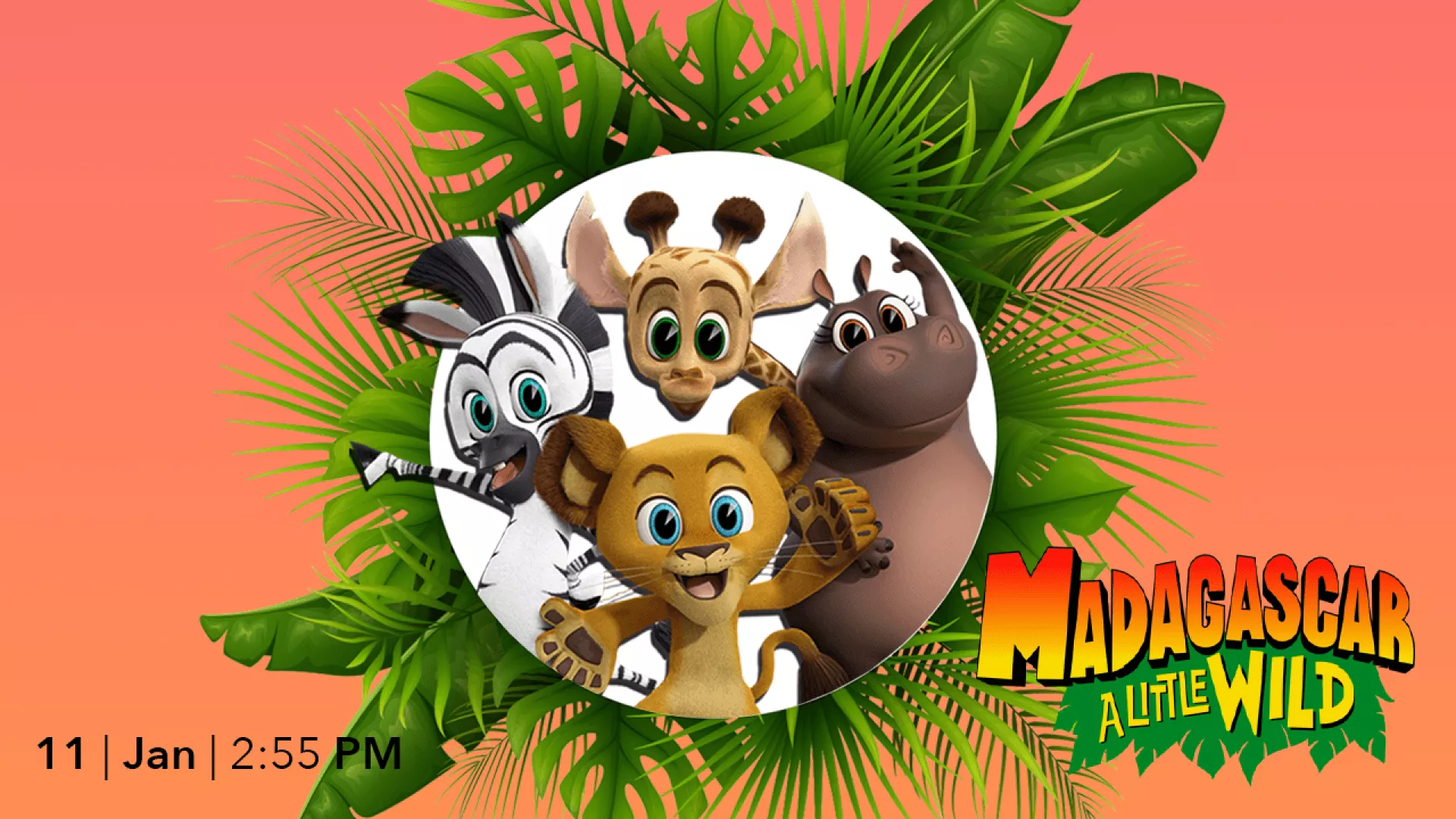 Madagascar: A Little Wild