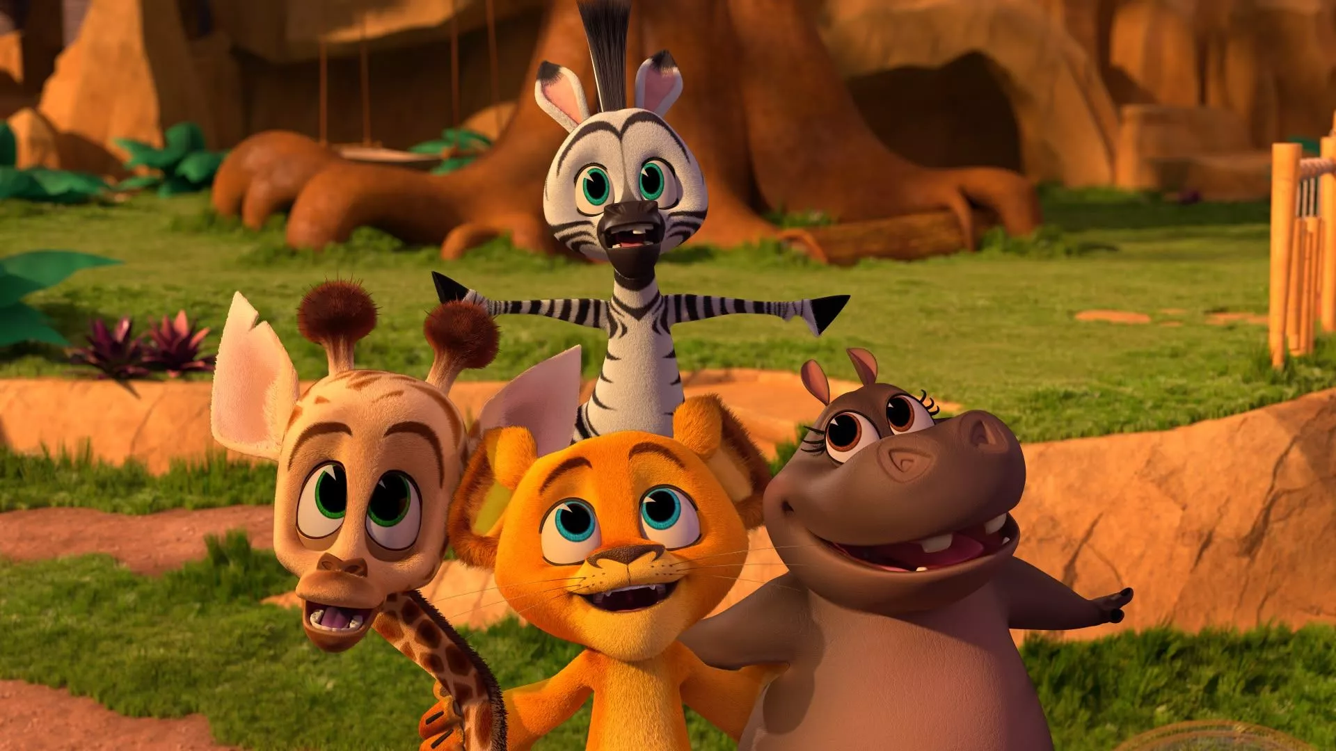Watch Madagascar: A Little Wild Season