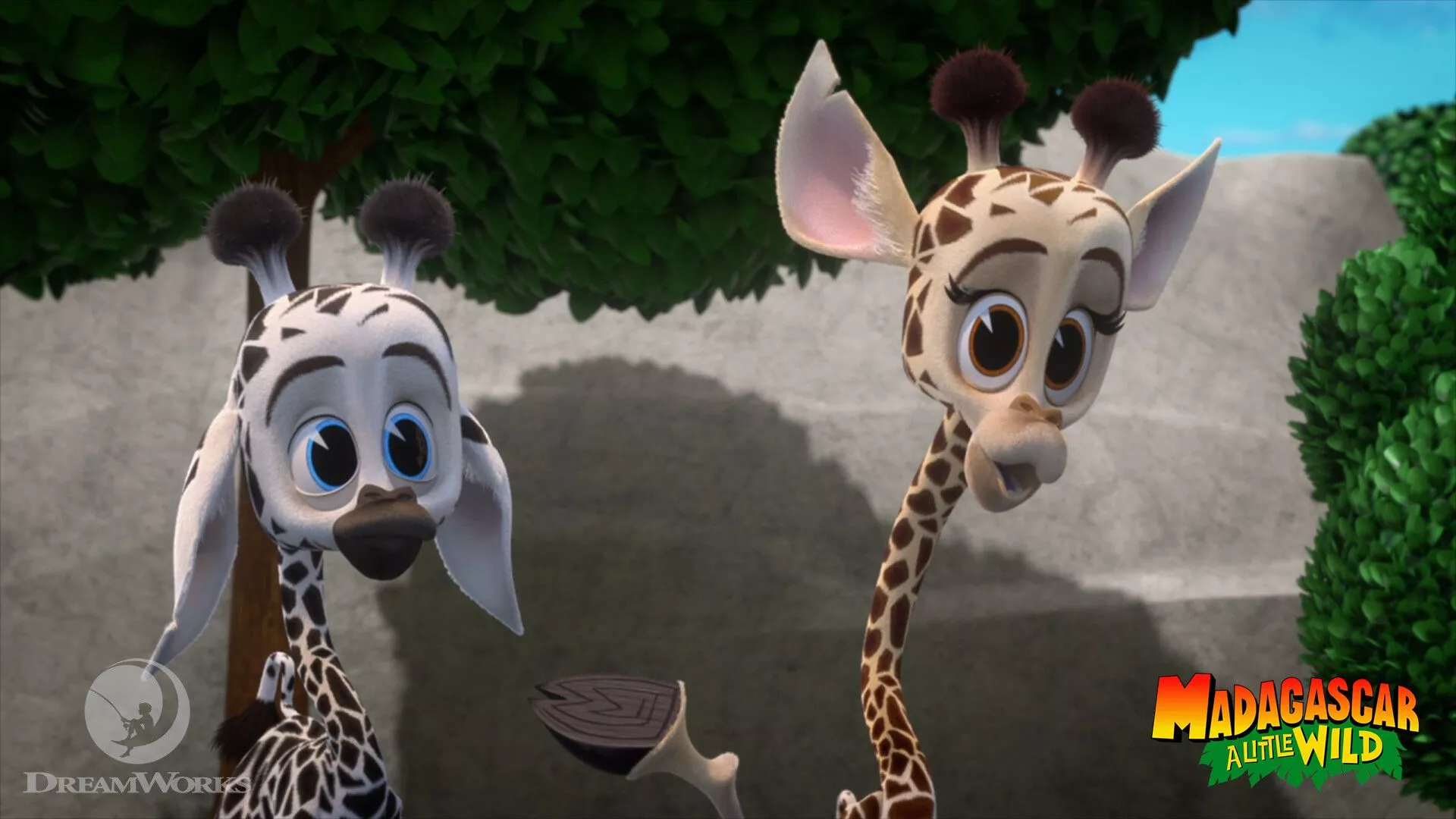 Madagascar: A Little Wild