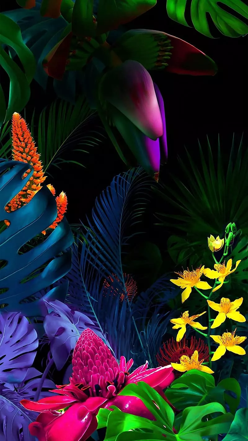 Vivo Mobile, Colorful Leaves, nature