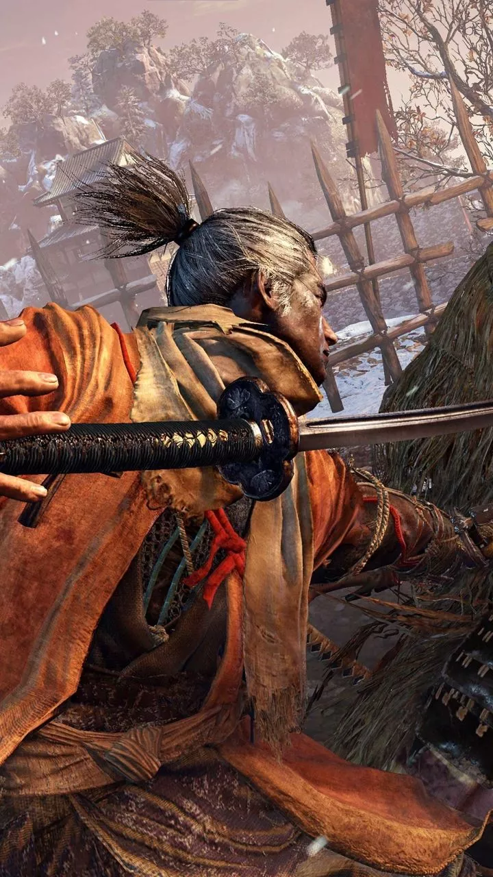 Video Game, Sekiro: Shadows Die Twice