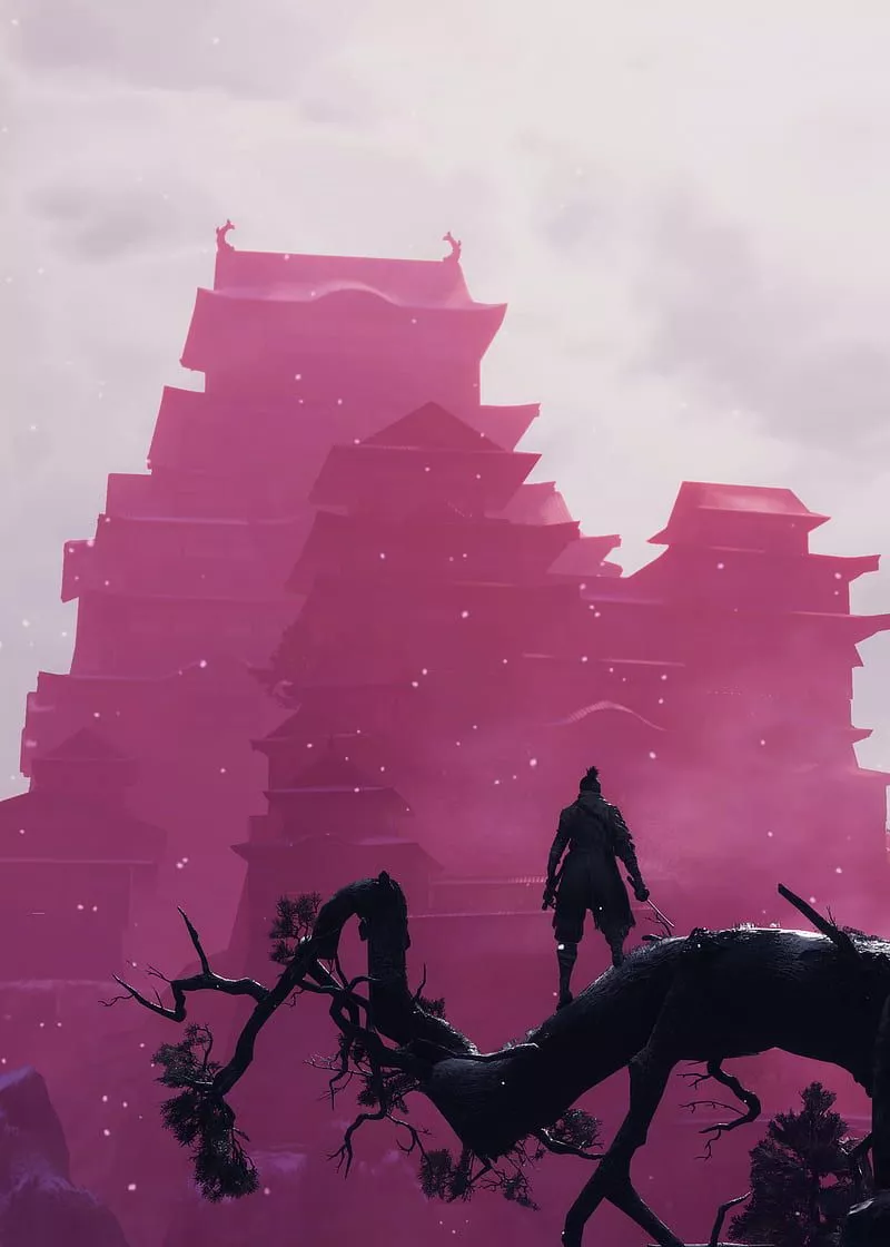 Sekiro Shadows Die Twice Game, HD phone