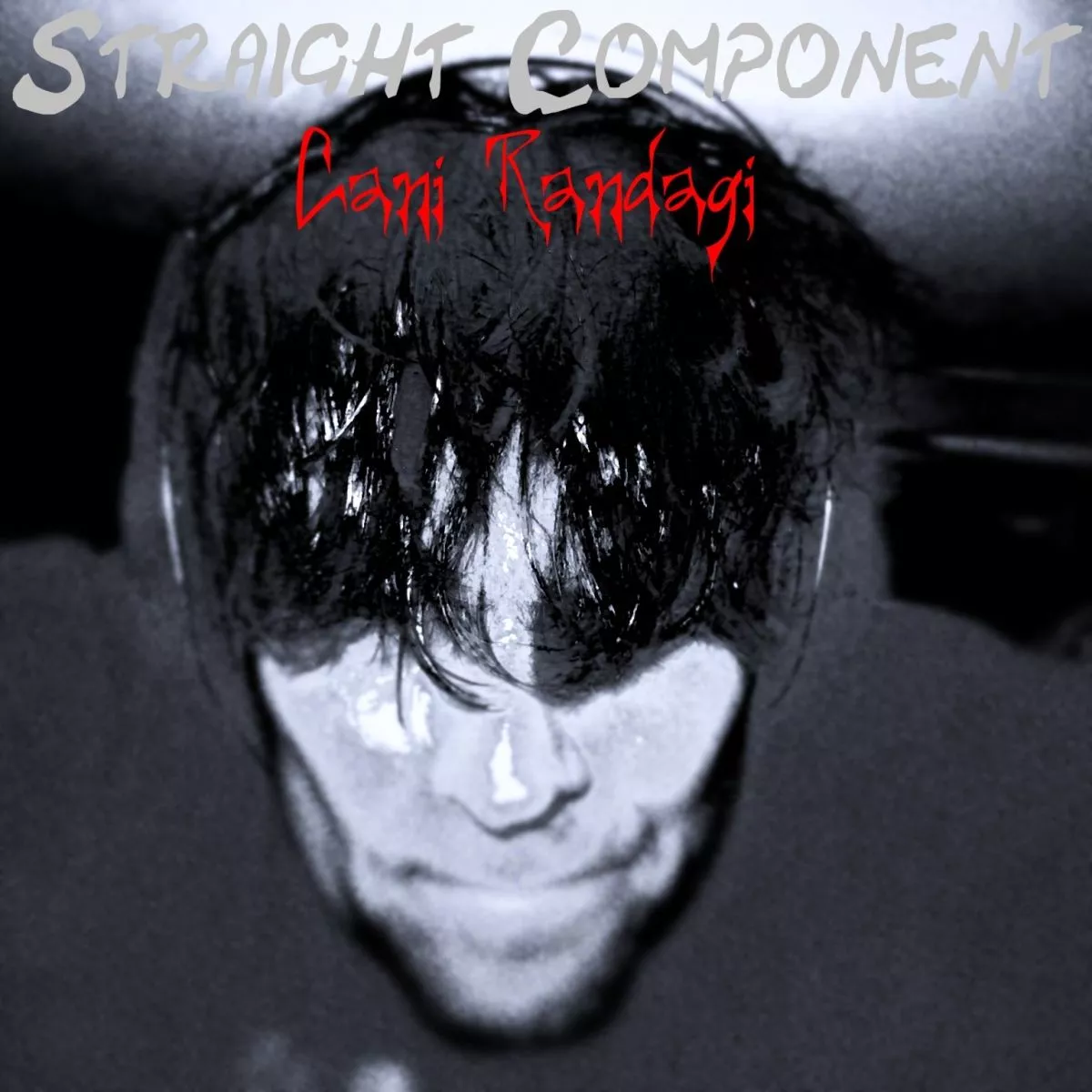 Straight Component Cani Randagi