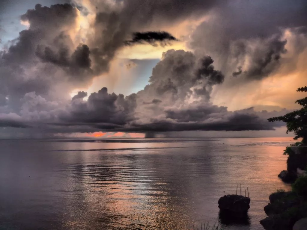 lechon Archives bear and a pig