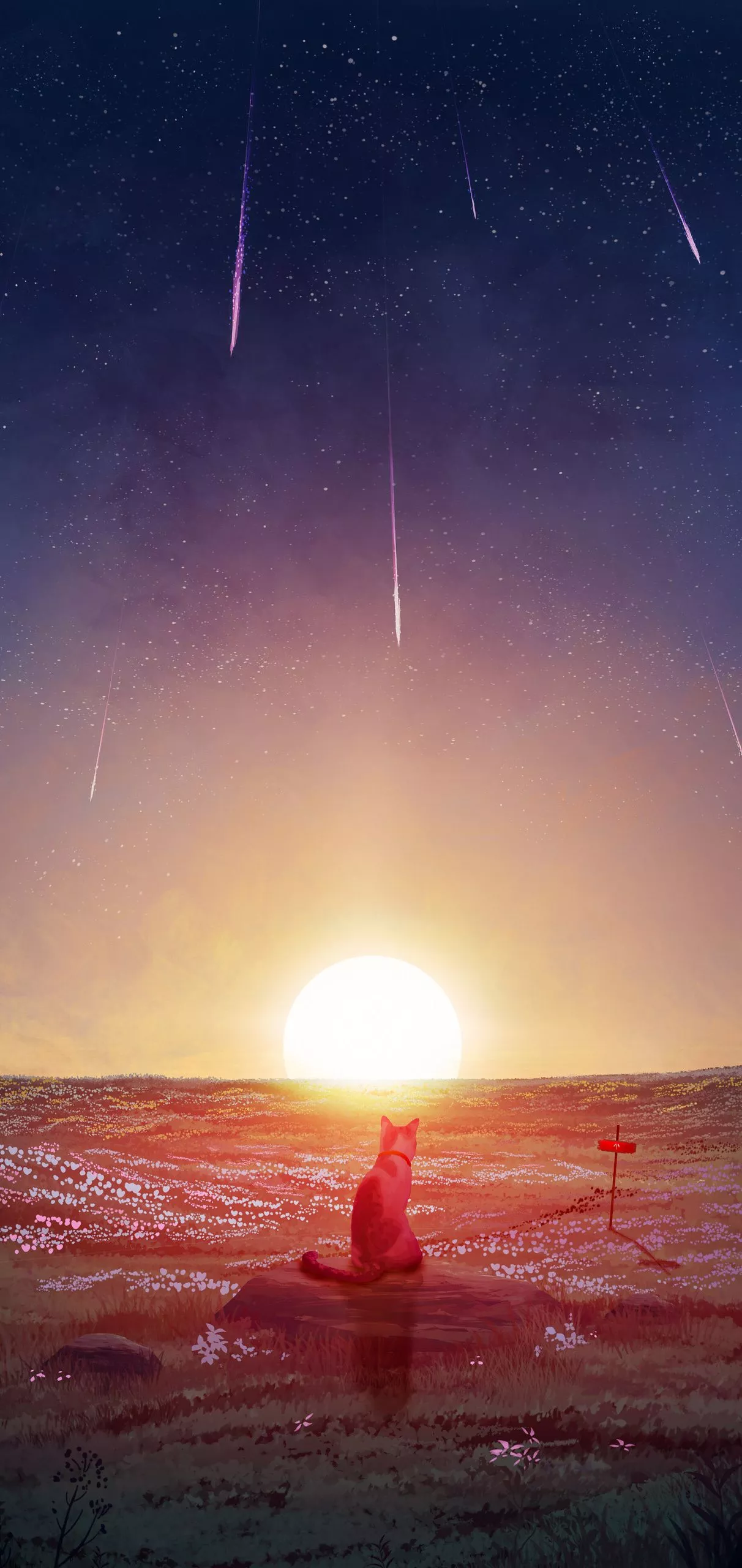 iPhone wallpaper HD in the sunset