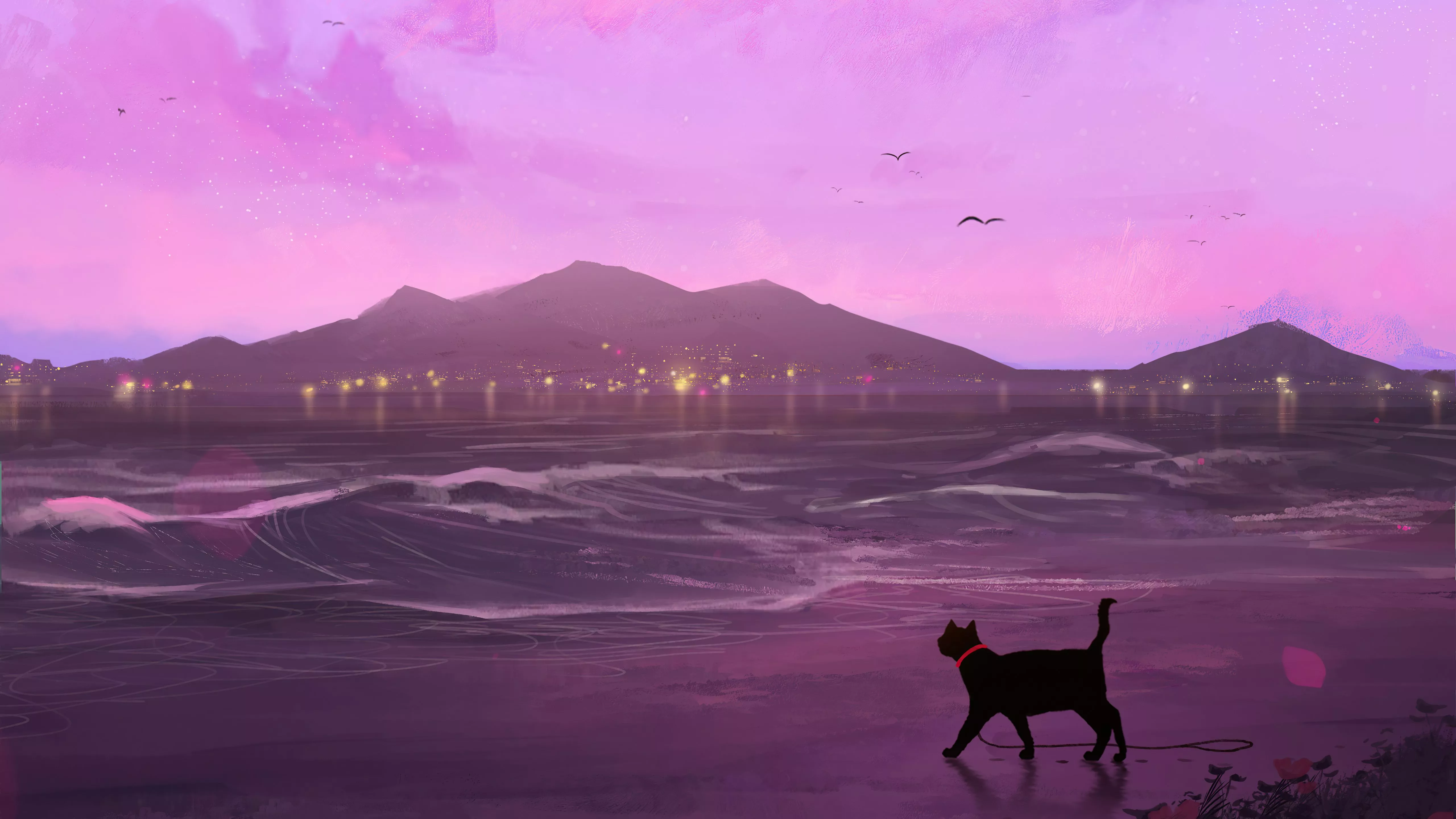 Cat Beach Silhouette Wallpaper, HD