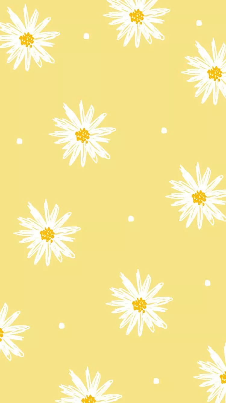 Download Cute Pastel Yellow Daisy