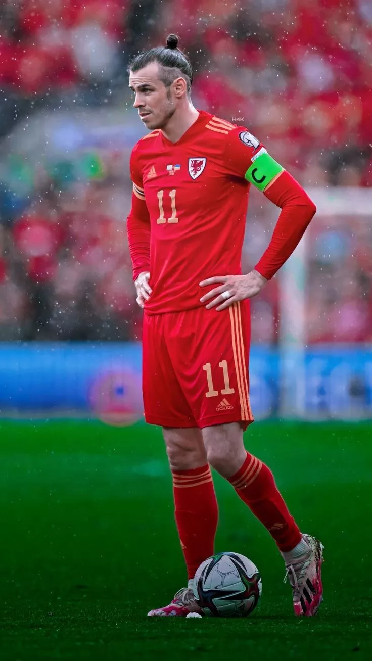 Wales to World Cup