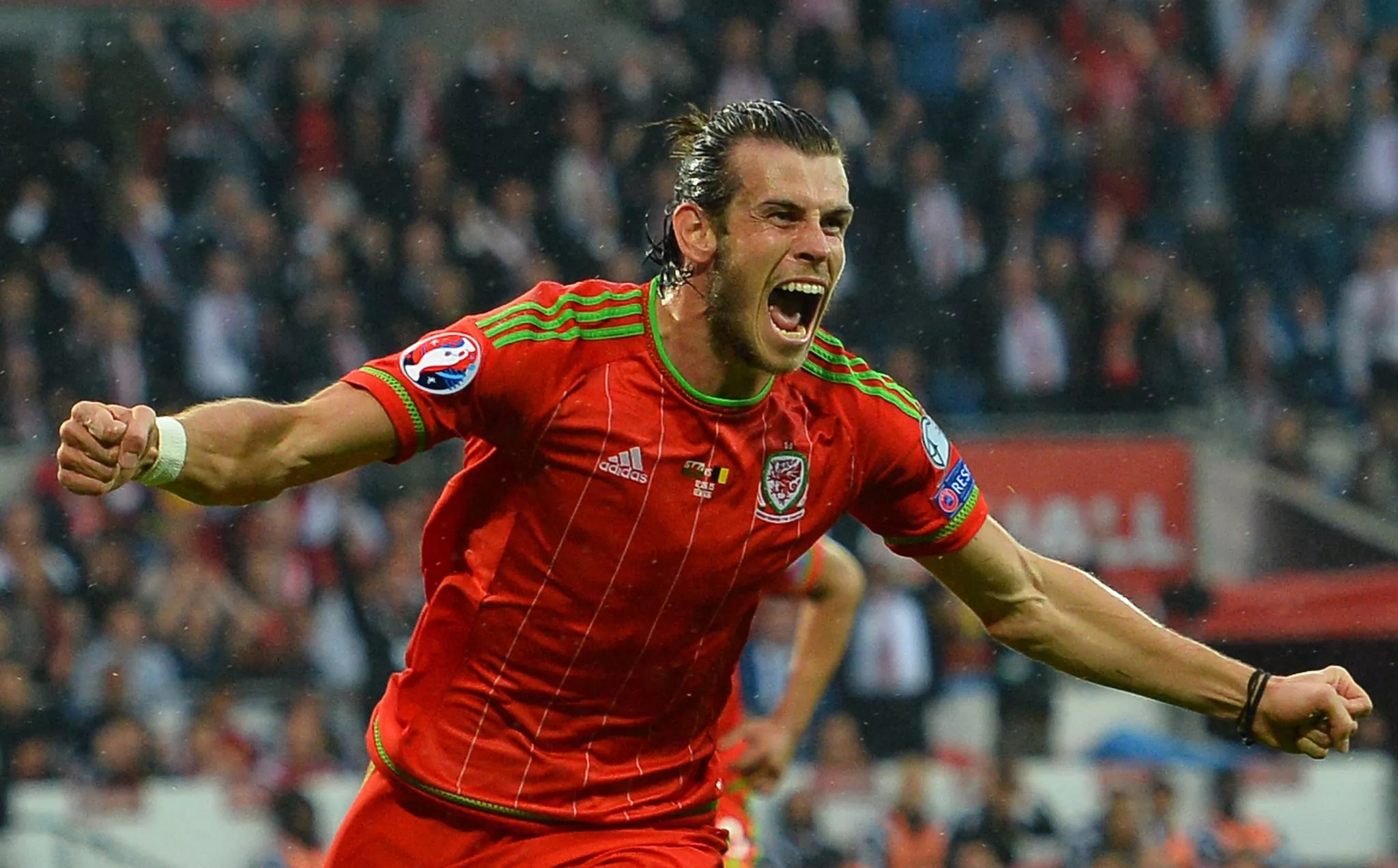 Download Wales National Football Team