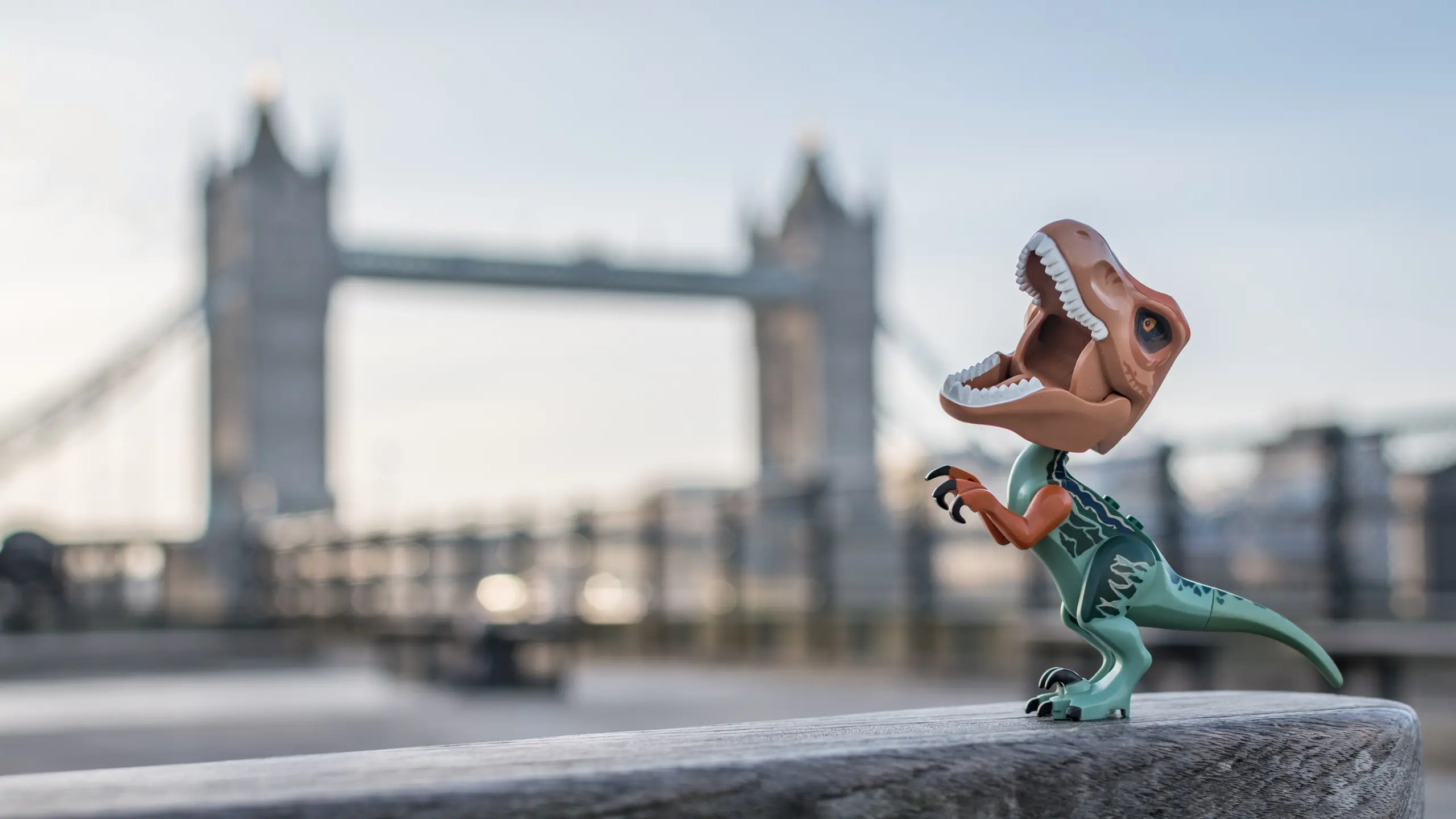 Creativity and Play In Plastic