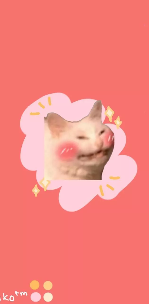 blushing kot wallpaper wallpaper