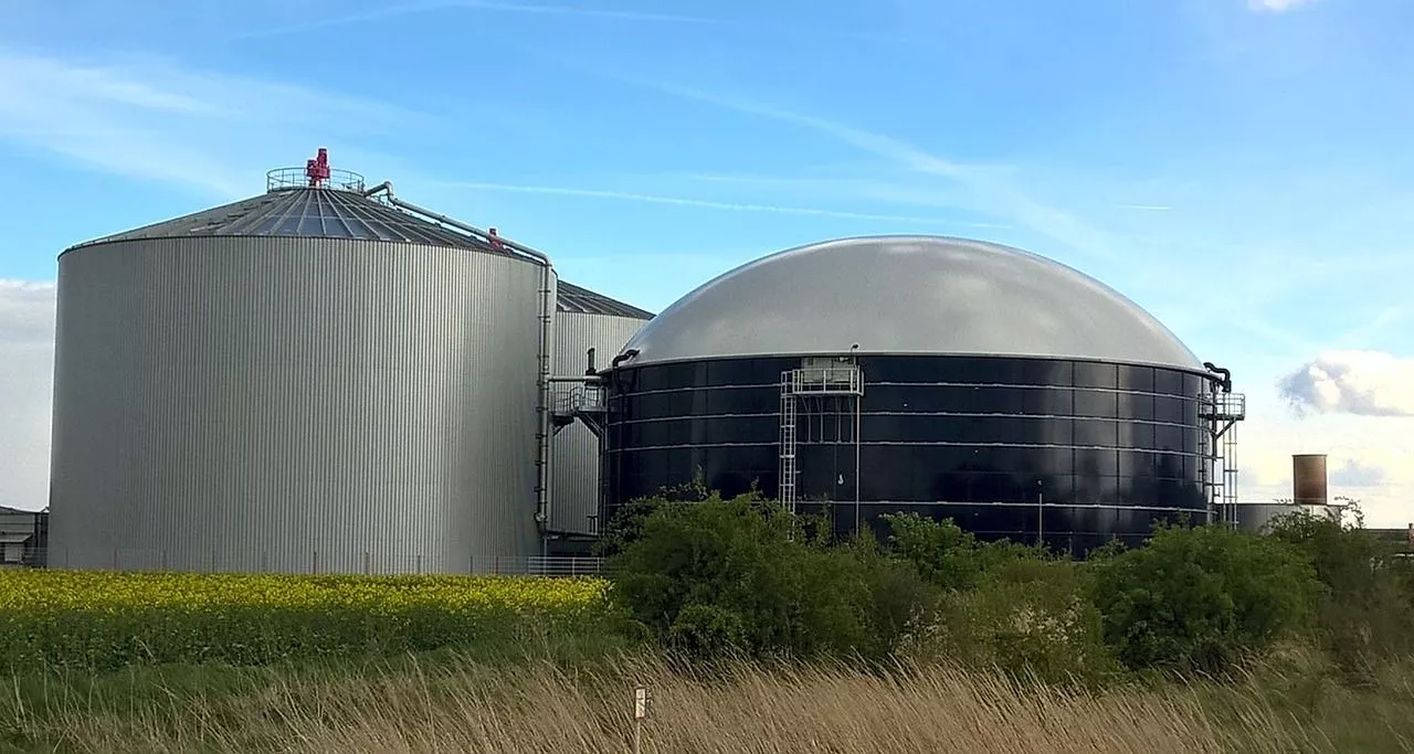 Free Biogas & Corn Image