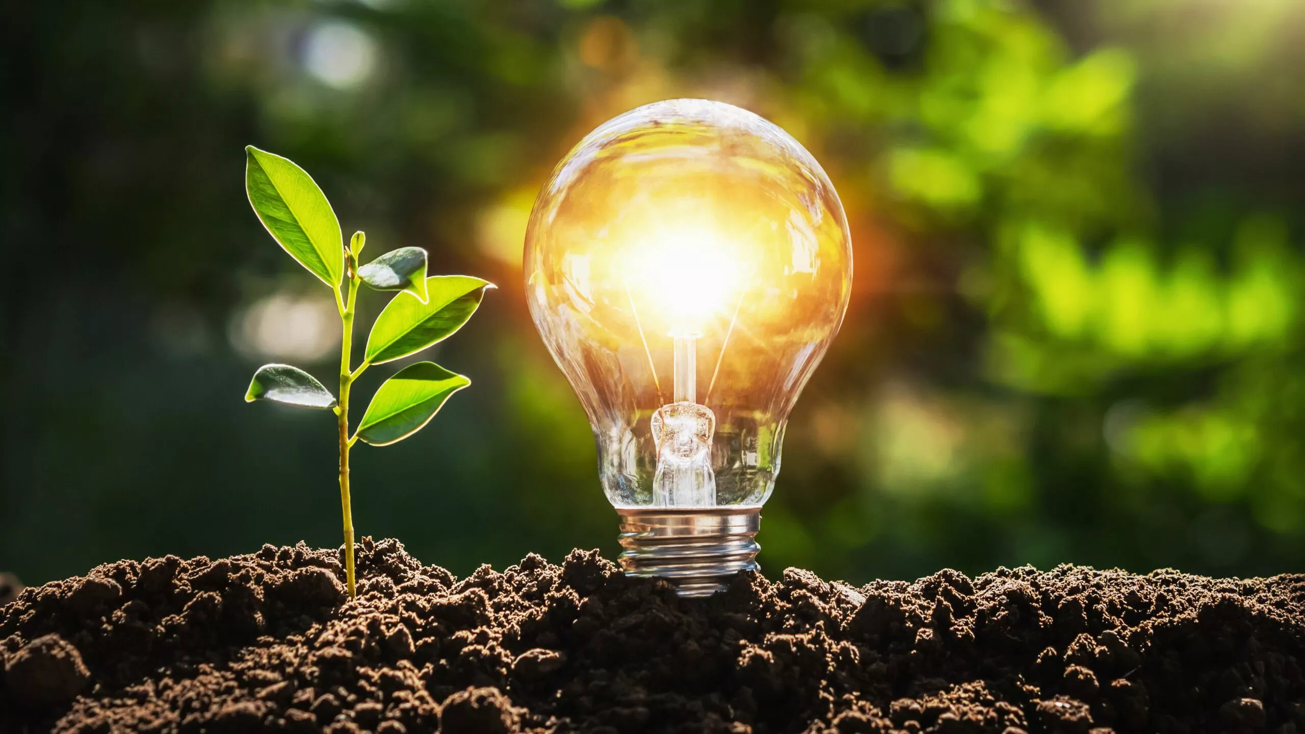 Weber GreenTech AG invests