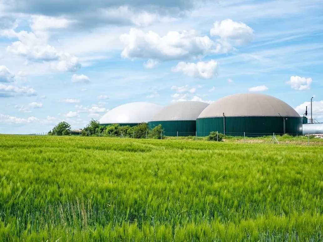 What Is a Biogas Plant and How Does It