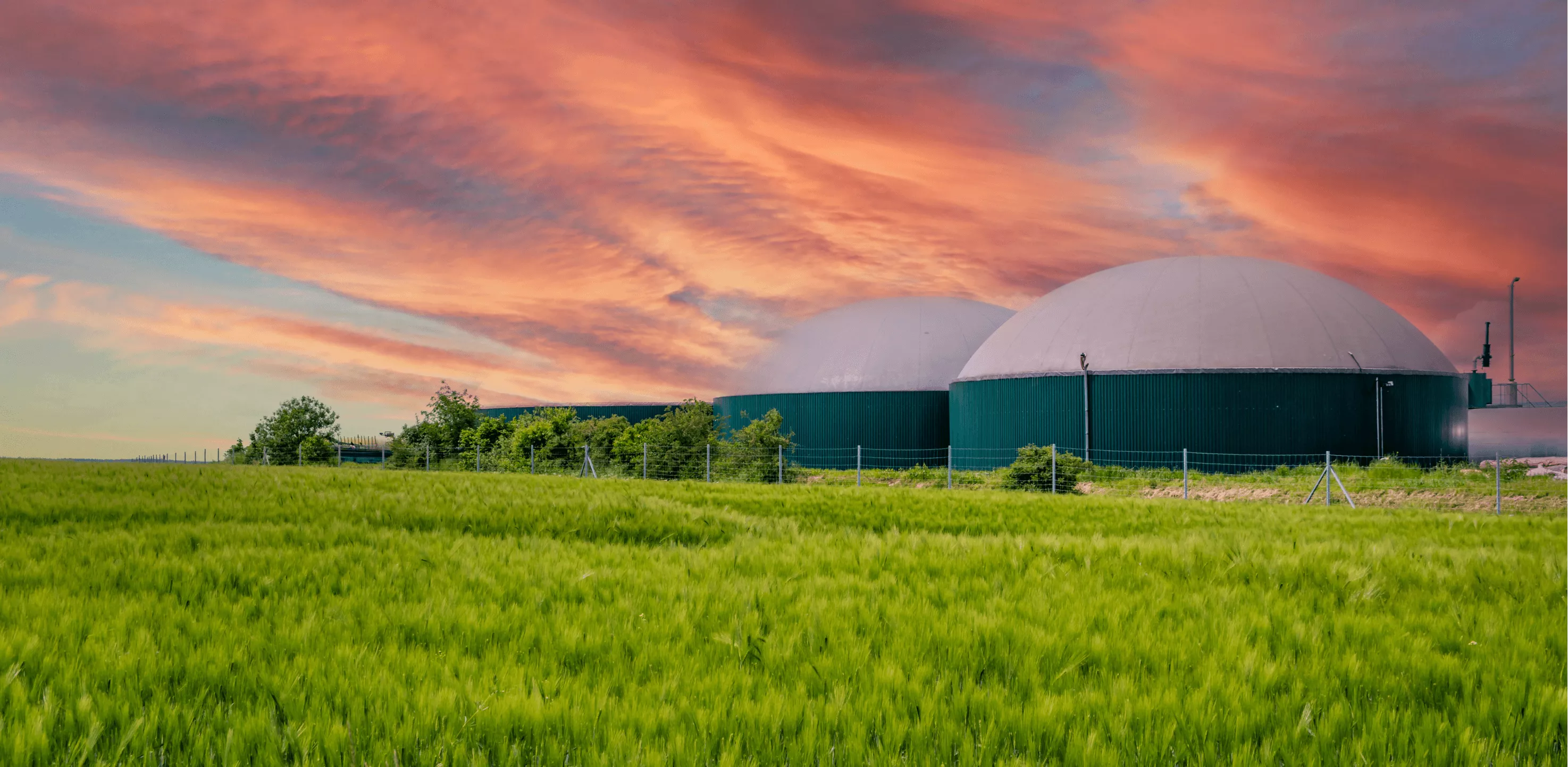 Biogas Consultant. Lee Enterprises