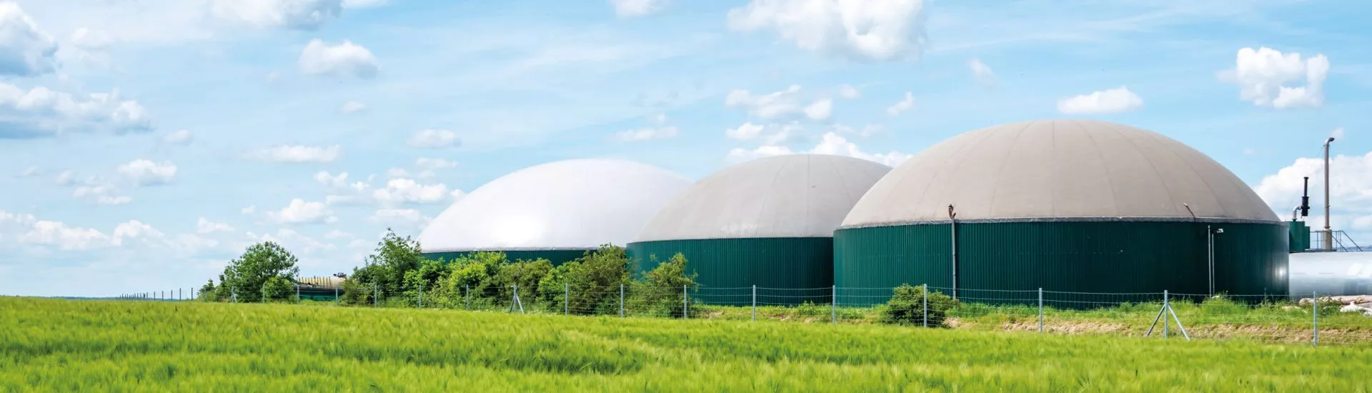 WANGEN pumps for biogas and anaerobic