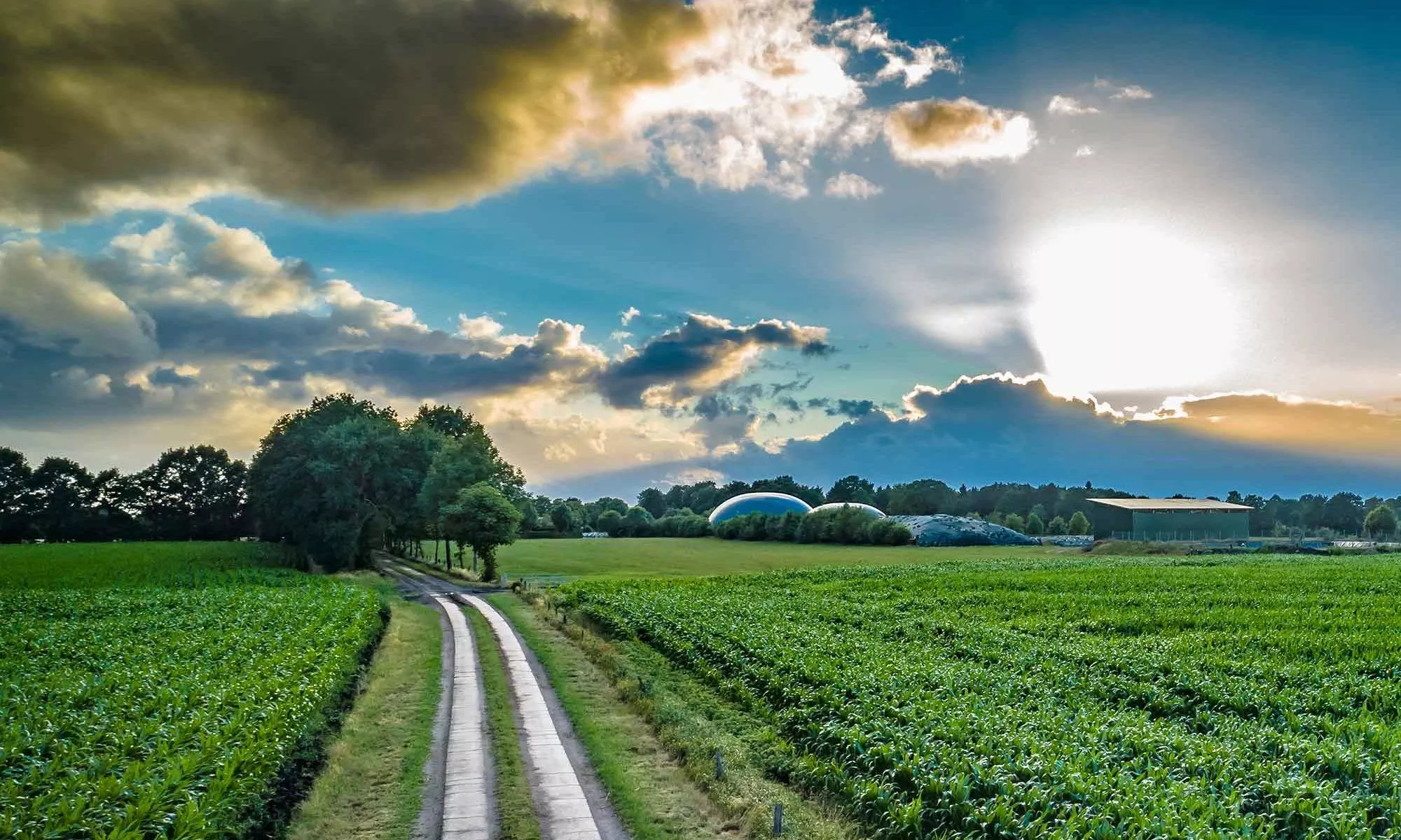 efficiency of biogas installations