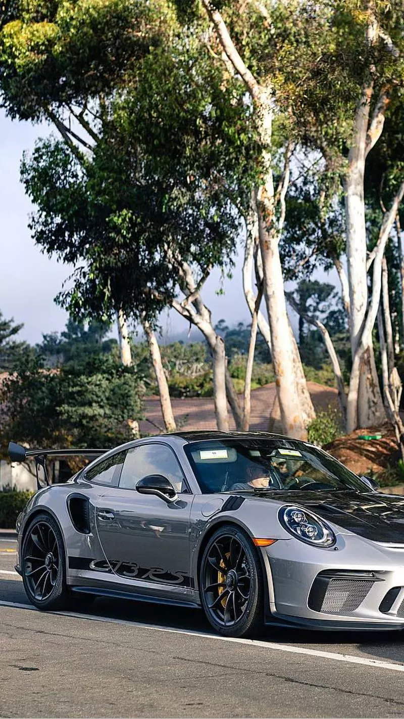 Porsche GT3 RS, porsche, gt3rs, silver