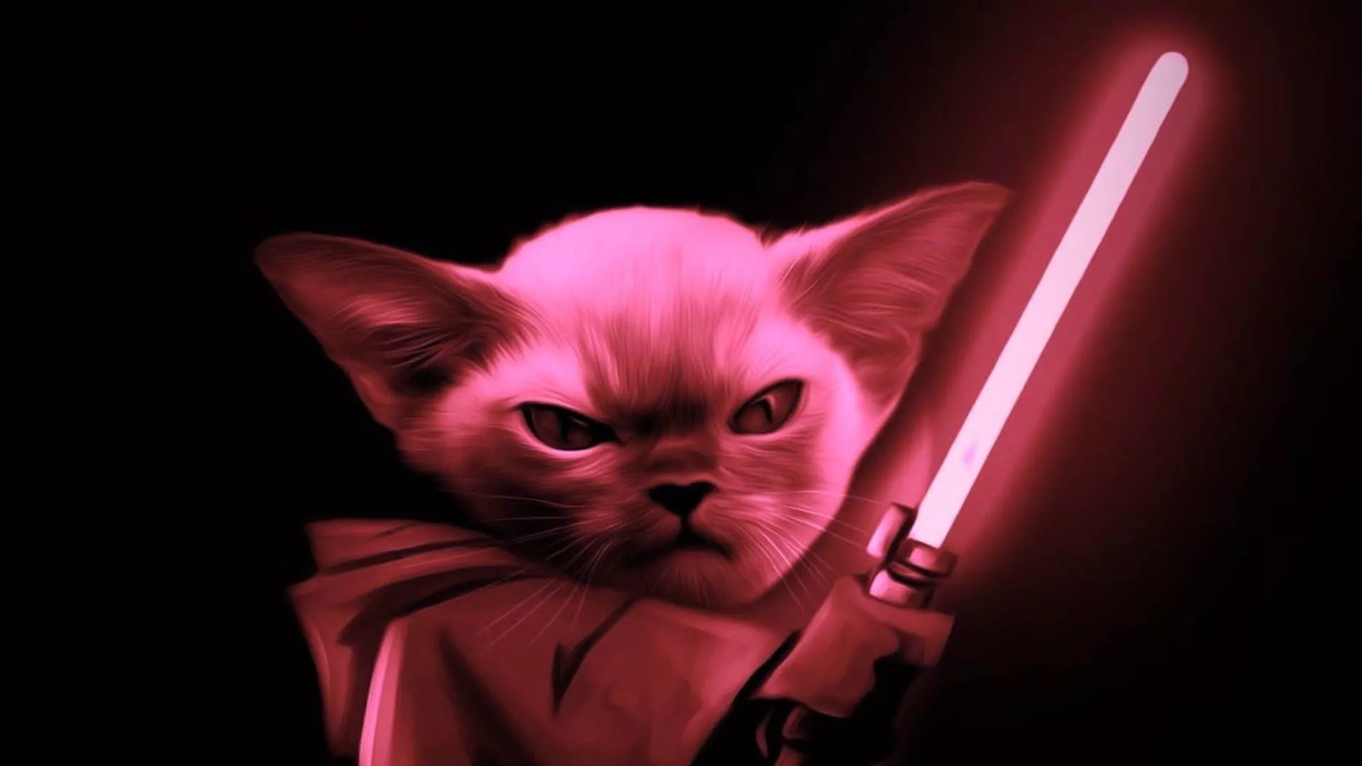 Star Wars Red Cat Jedi Wallpaper