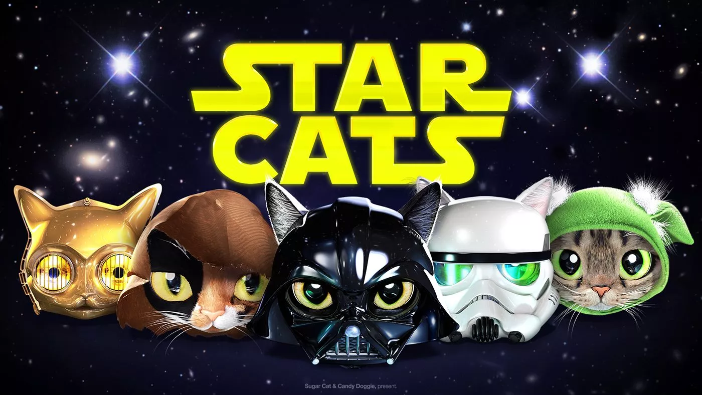 STAR CATS - Behance