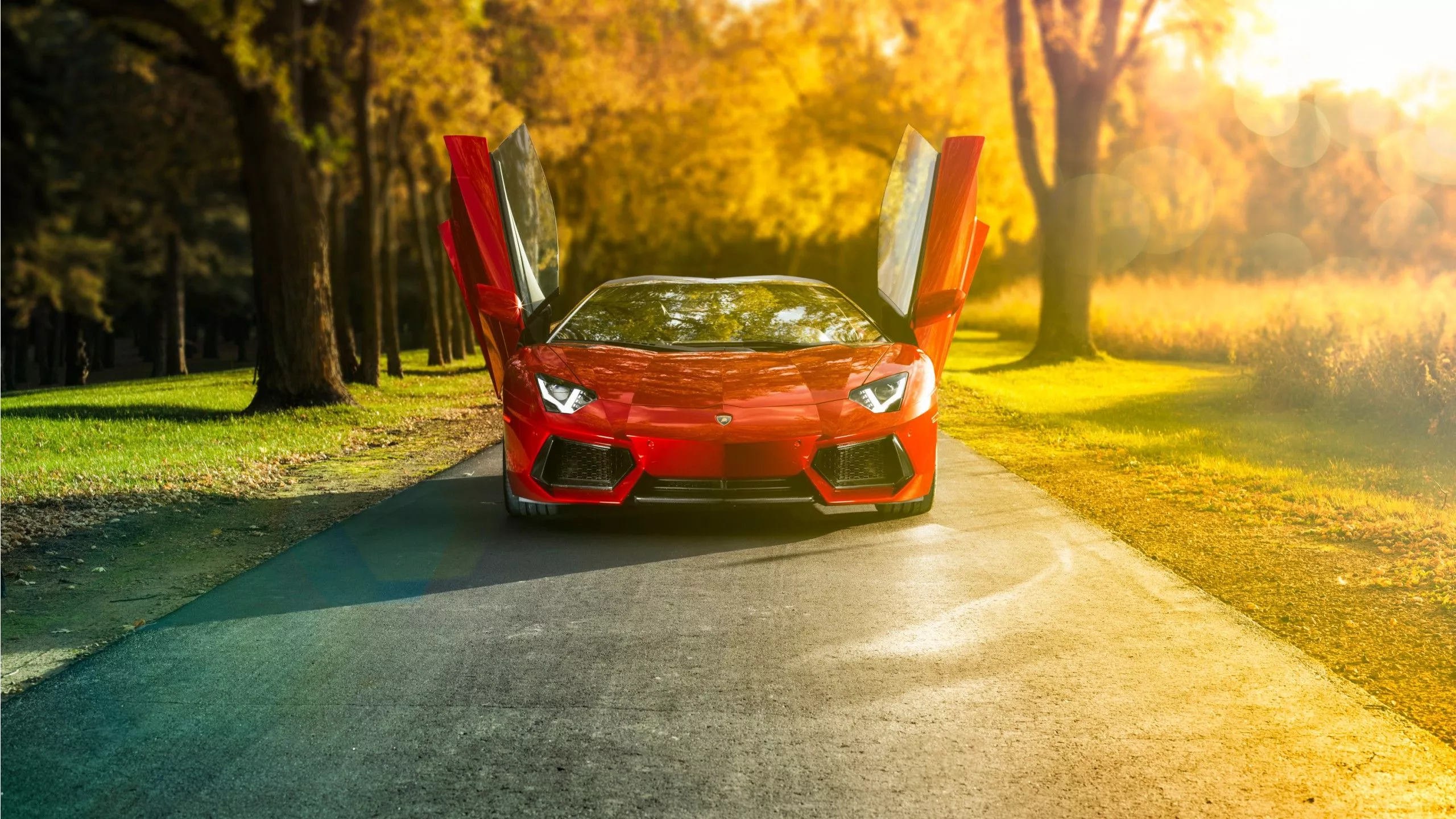 Lamborghini Aventador Roadster