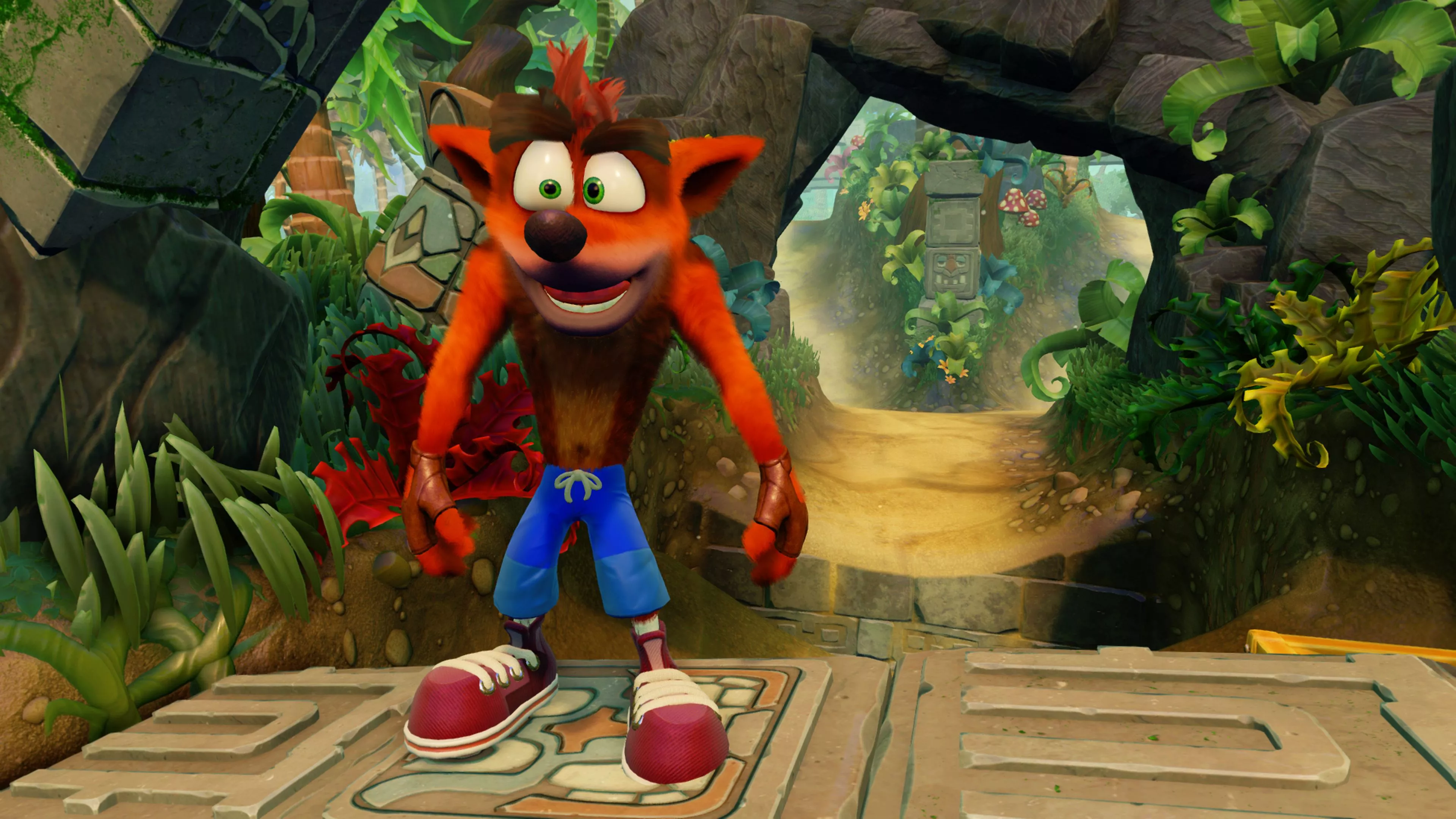 Video Game Crash Bandicoot