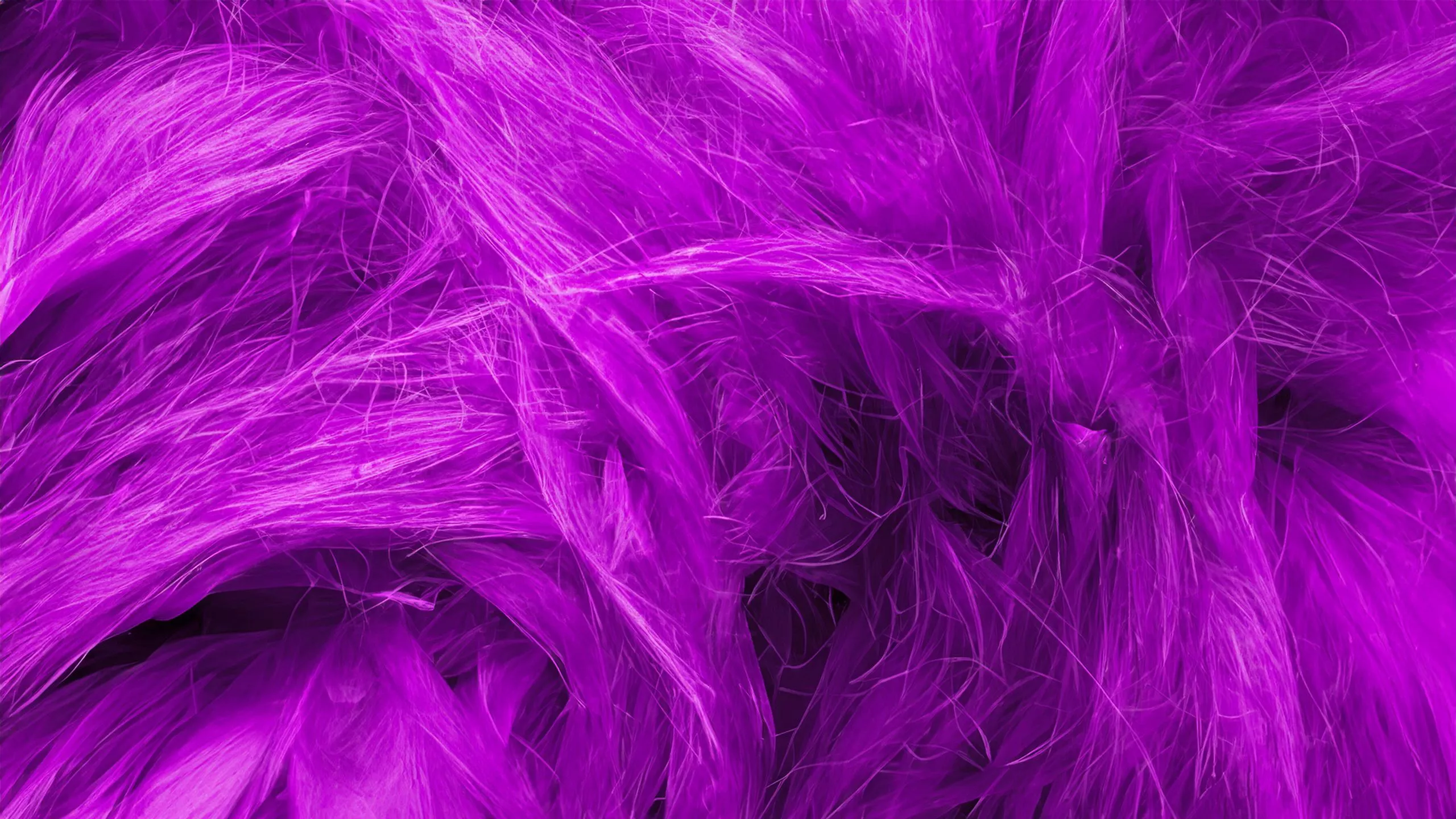 Purple Aesthetic 2K Wallpaper x