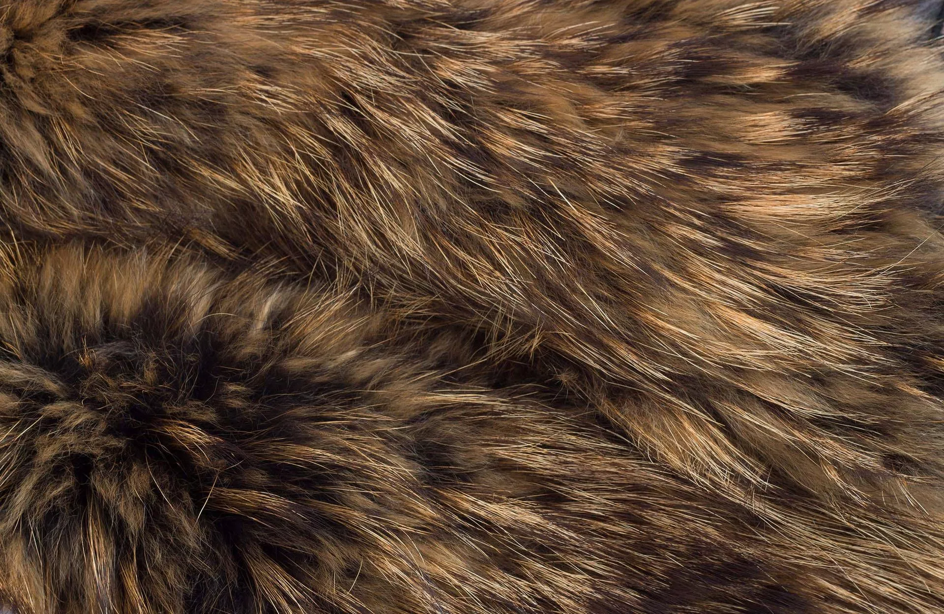 Animal Fur In Brownish Gray Color