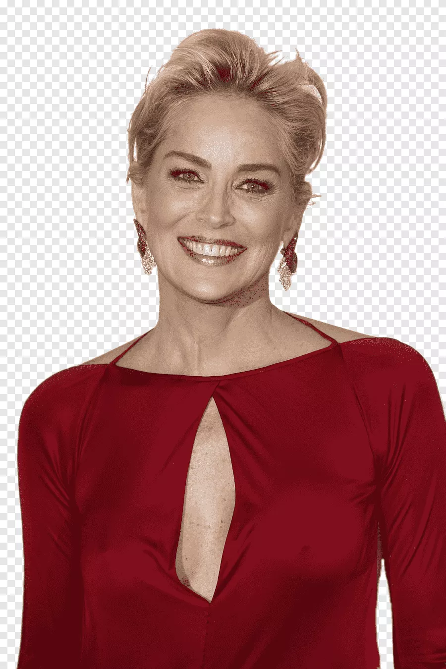 Sharon Stone Basic Instinct Celebrity