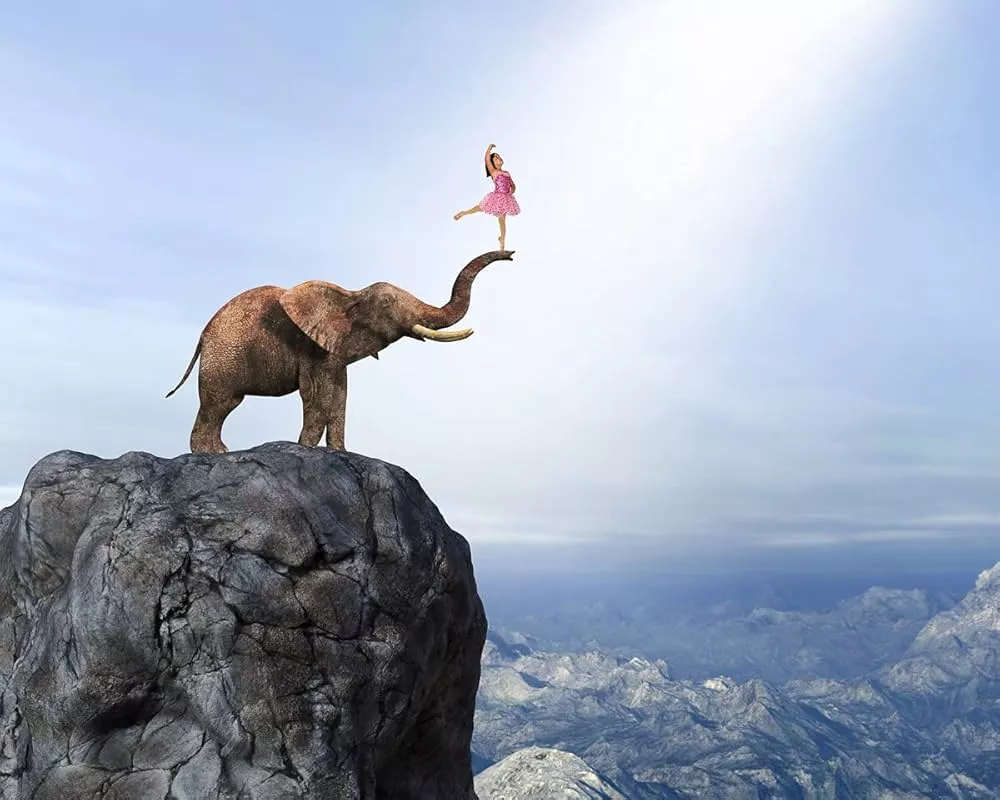 Non Woven Photo Wallpaper Digital Print