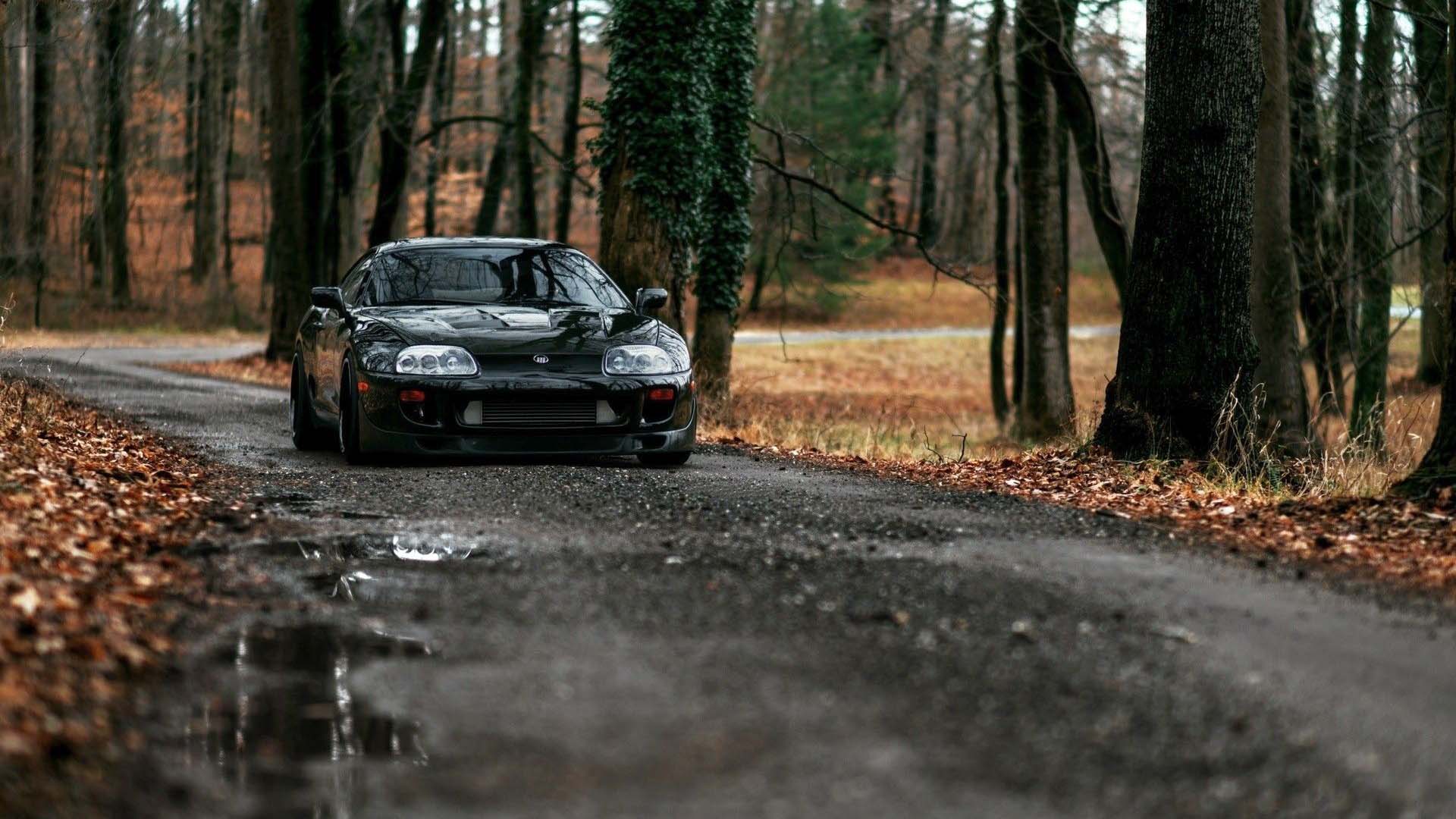 black toyota supra jdm car in forest HD