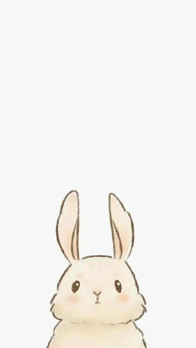 Bunny. Cute cartoon, Cute animal
