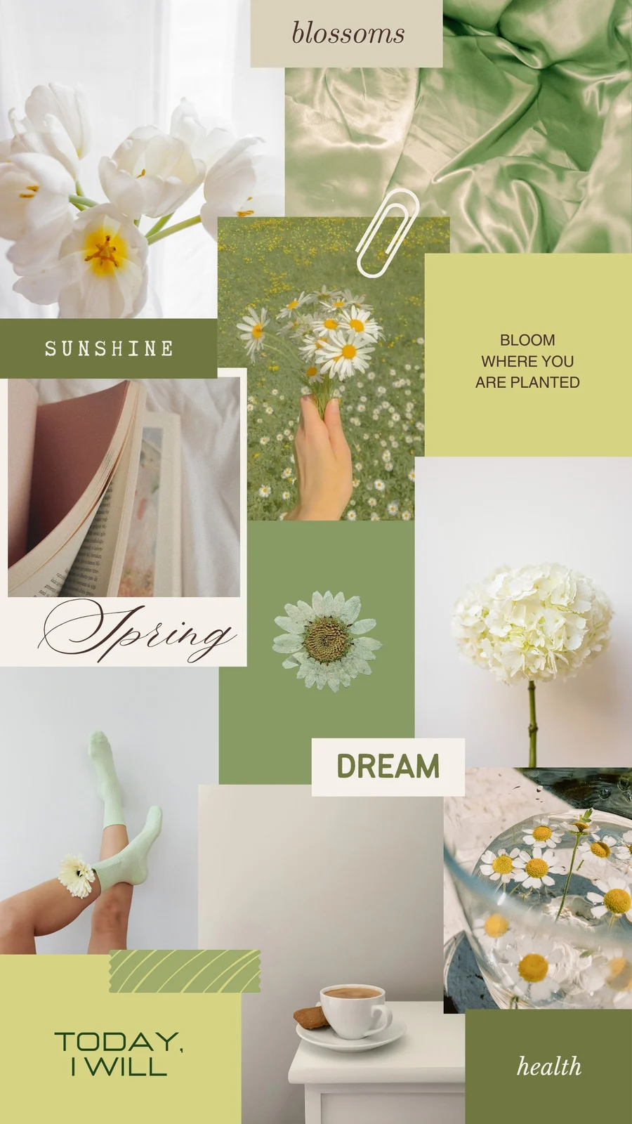 Free spring aesthetic phone wallpaper