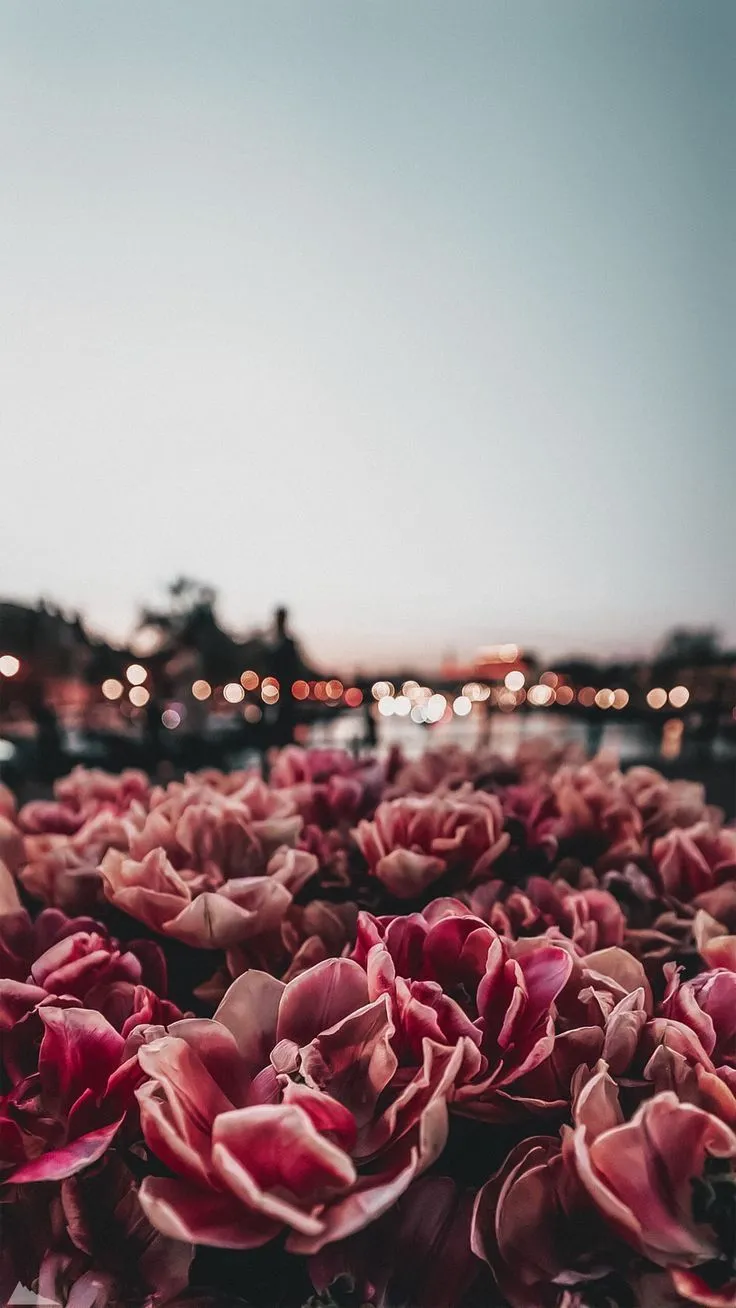 COOL PHONE WALLPAPERS 6