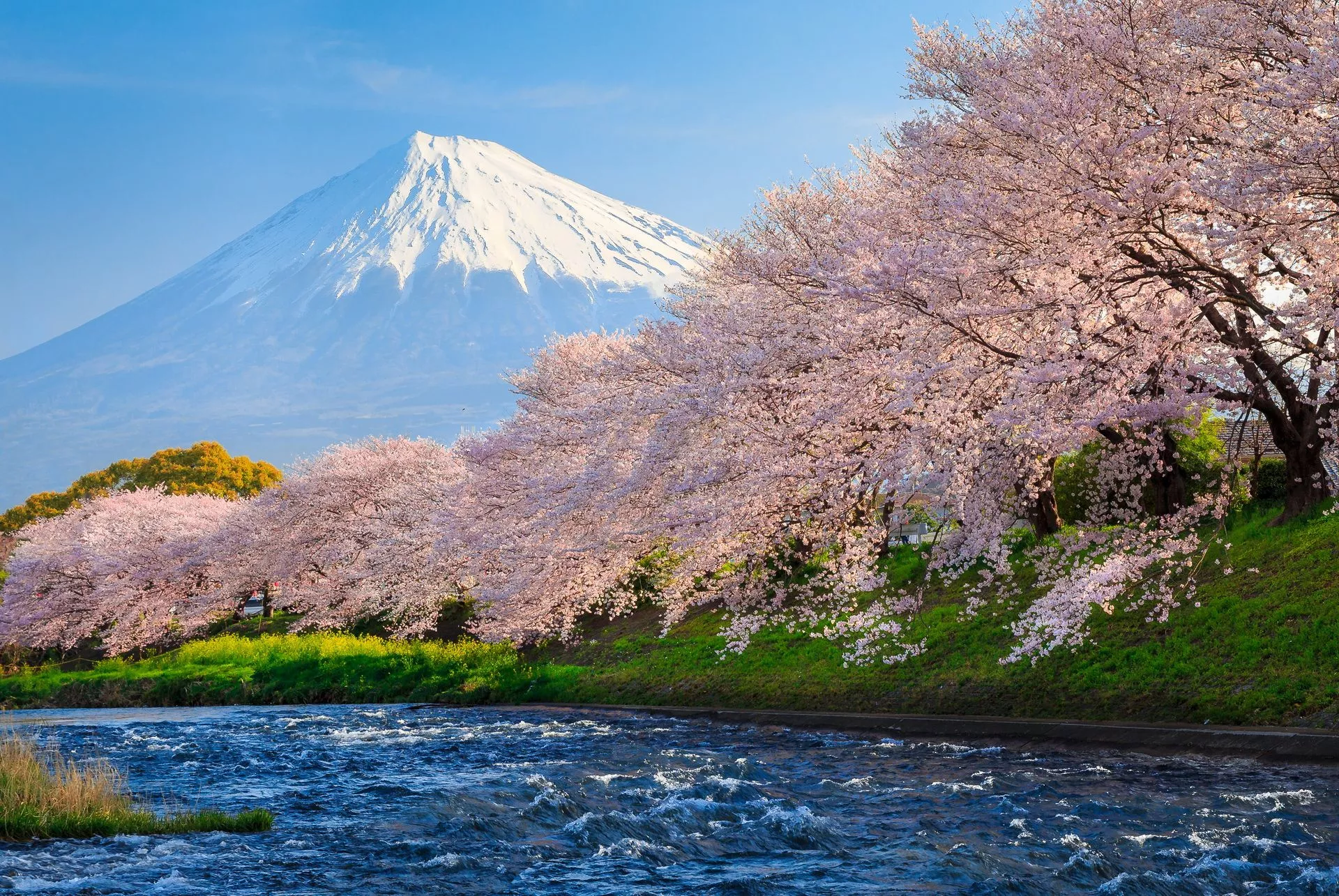 Serene Mount Fuji: A Stunning HD Nature
