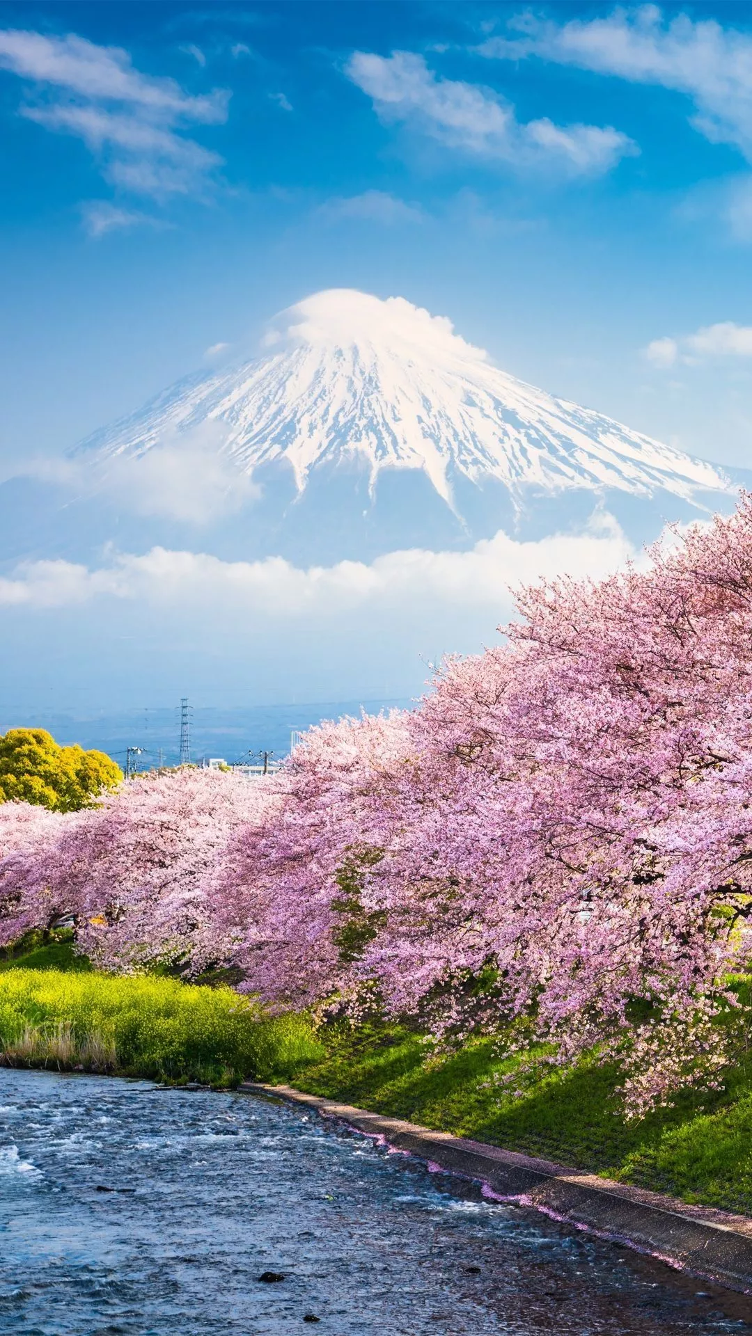 Mount Fuji (Japan) Wallpaper