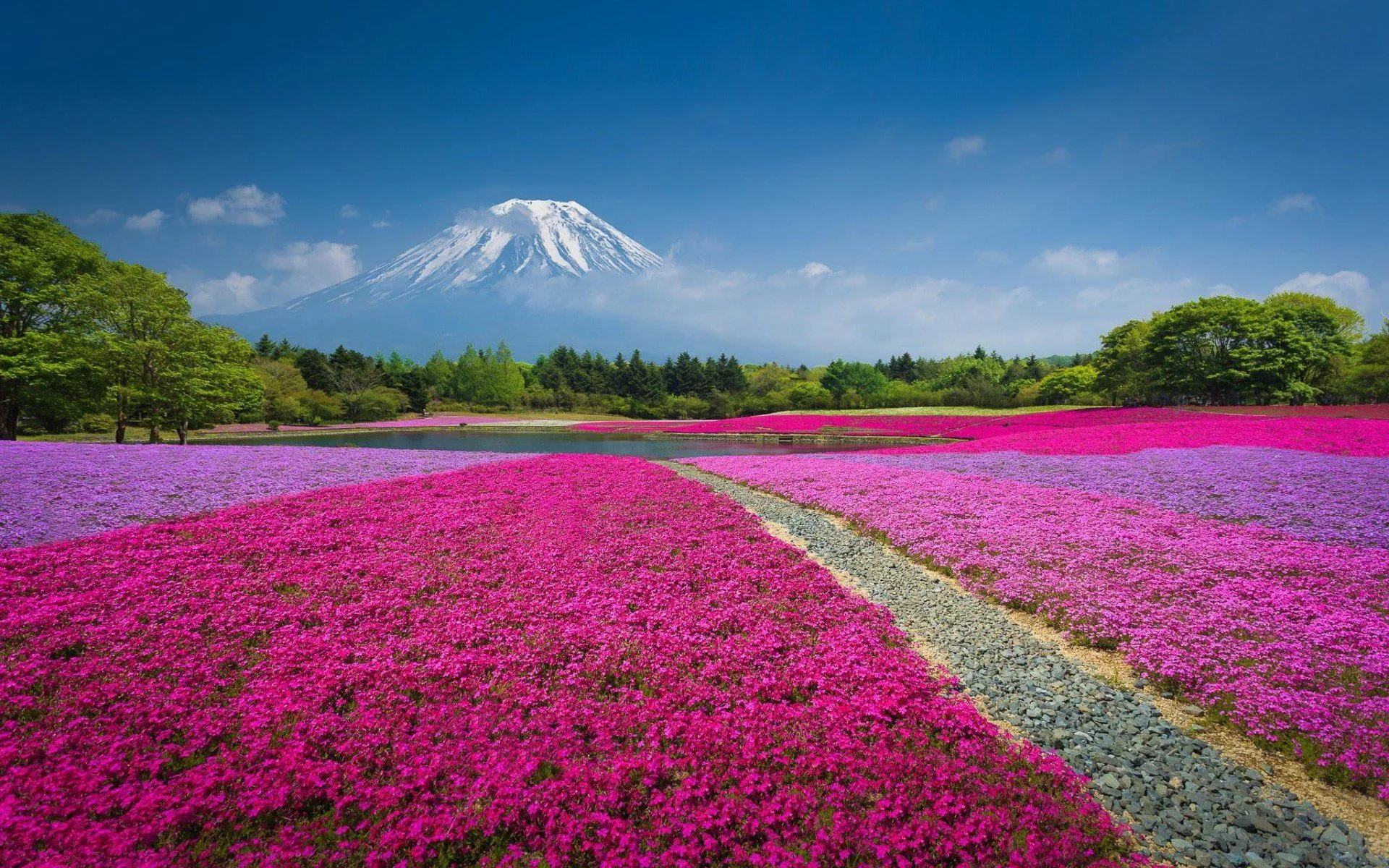 Mount Fuji HD Wallpaper
