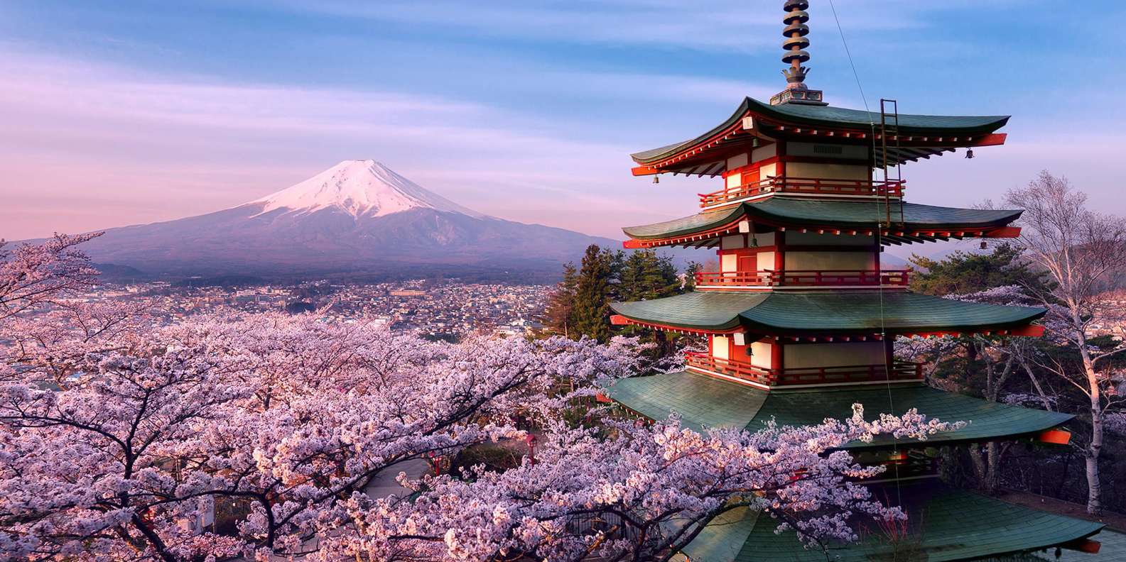 Tokyo: Mt Fuji A Journey Through Nature