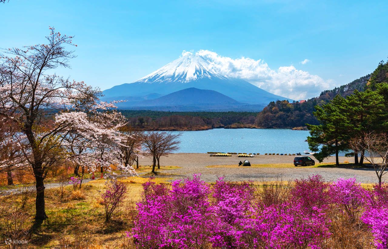 Three Lakes of Mt. Fuji｜Kawaguchiko
