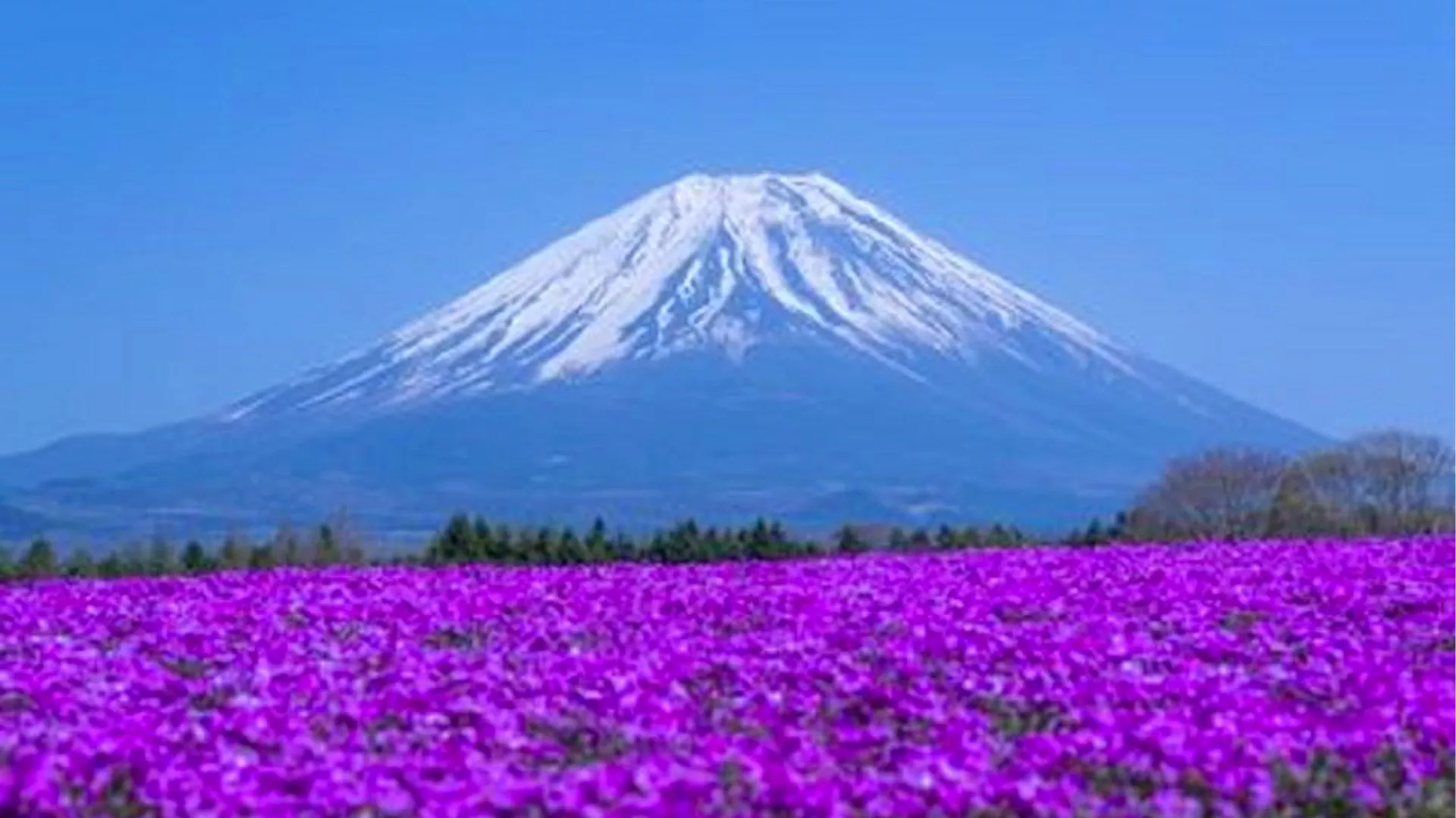 Tokyo: Mt. Fuji, Oshino Hakkai