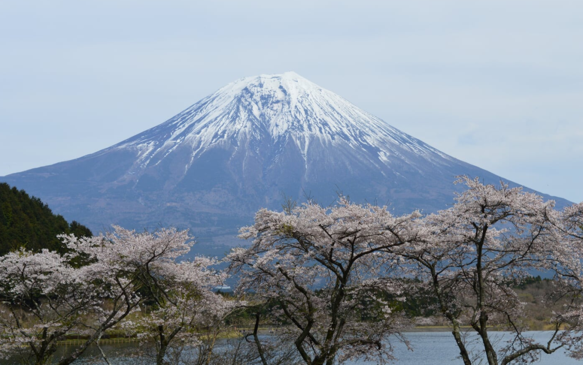 Japan 2017: Day 13 Kawaguchi Ko Pt 4