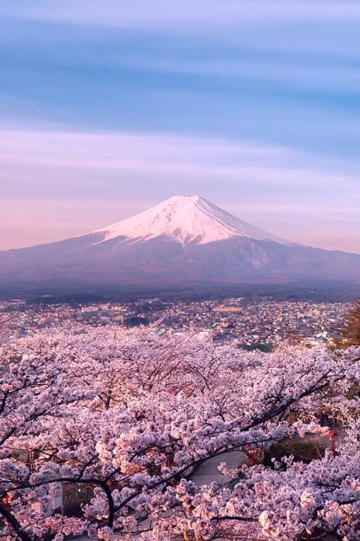 Mount Fuji In Spring