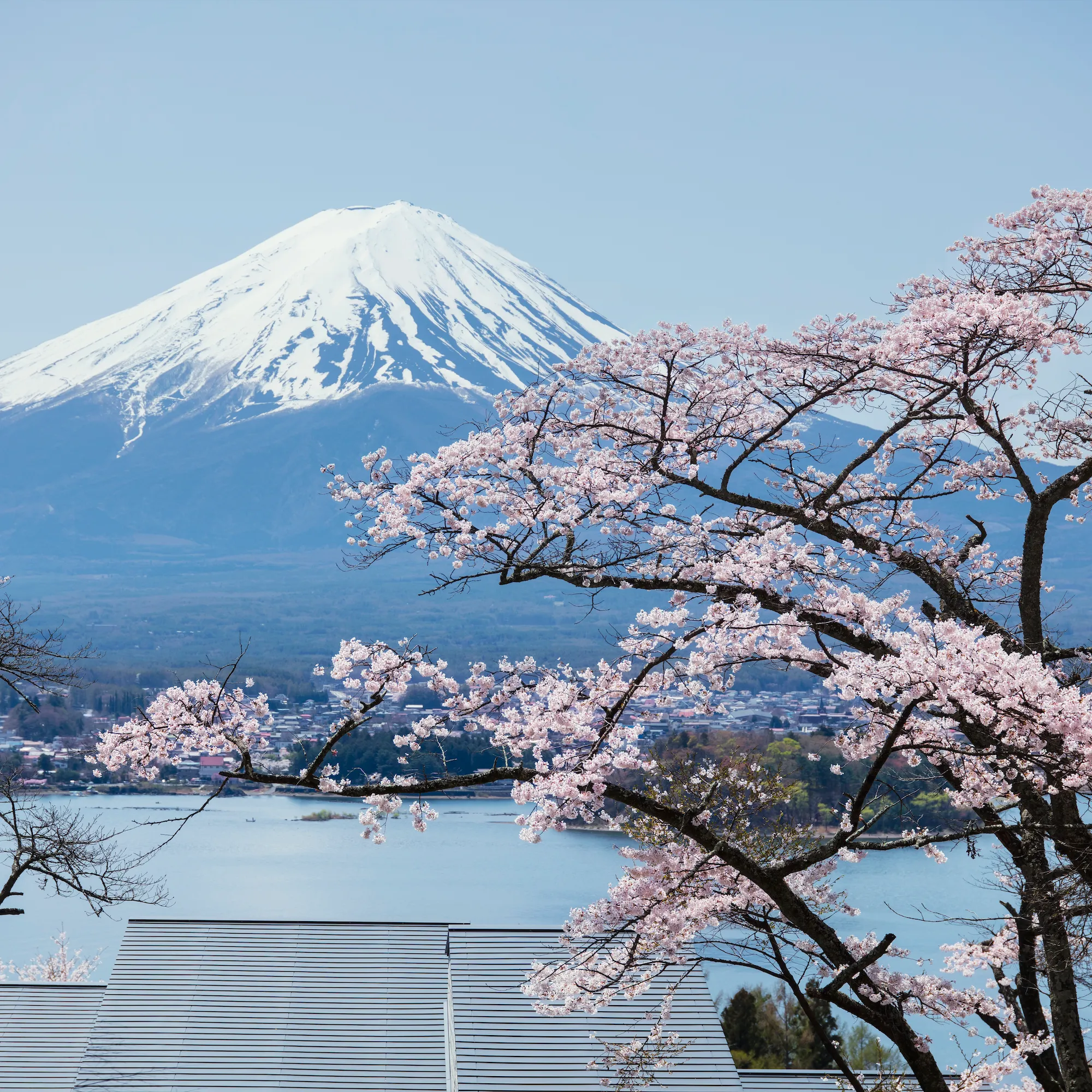Day Trips From Tokyo: 8 Destinations