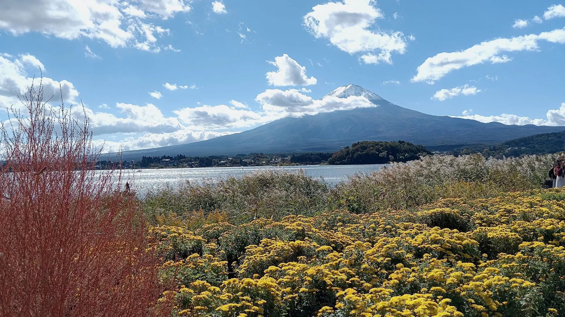 Lake Kawaguchi and Oishi Park