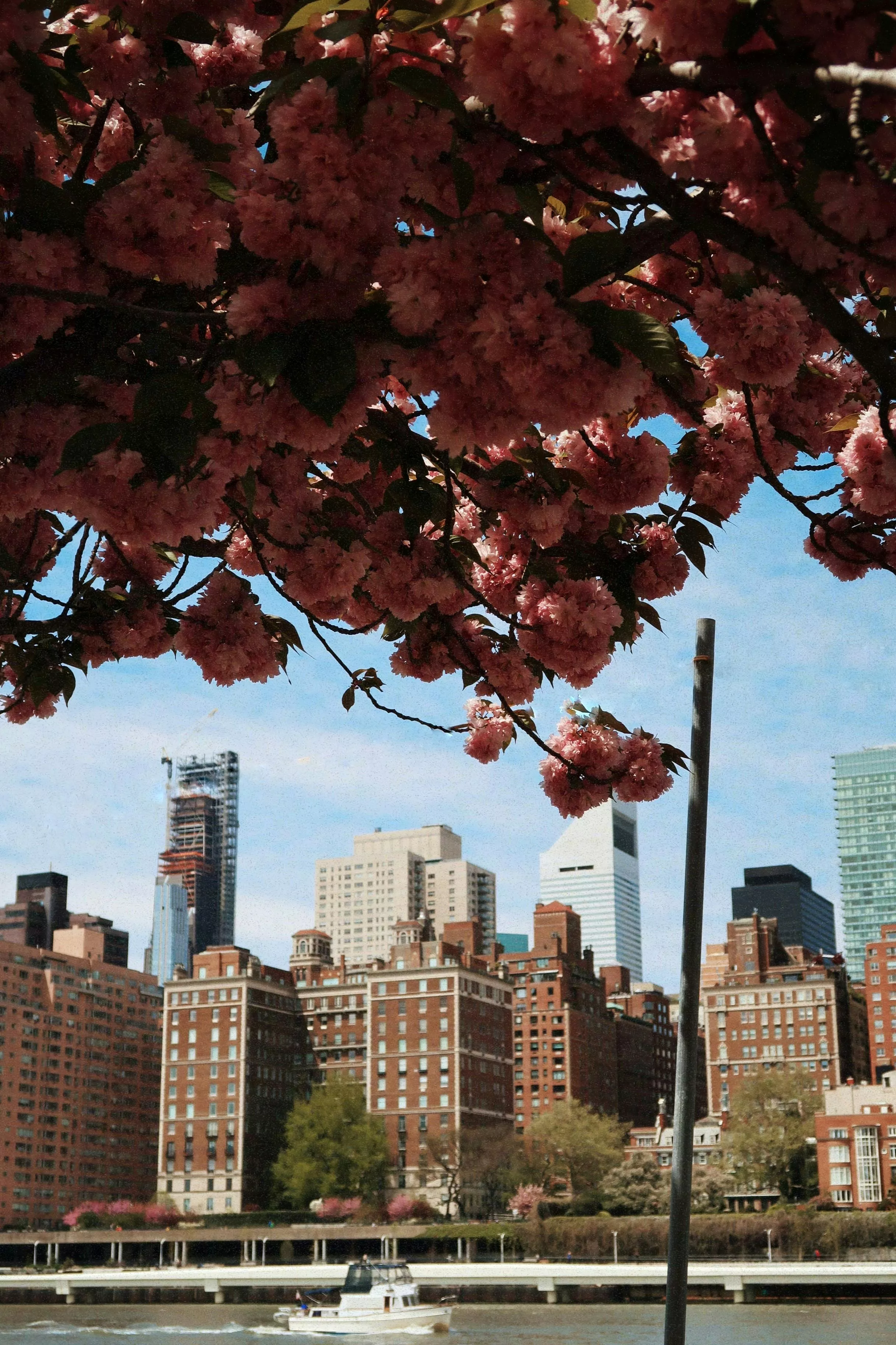 City Skyline · Free