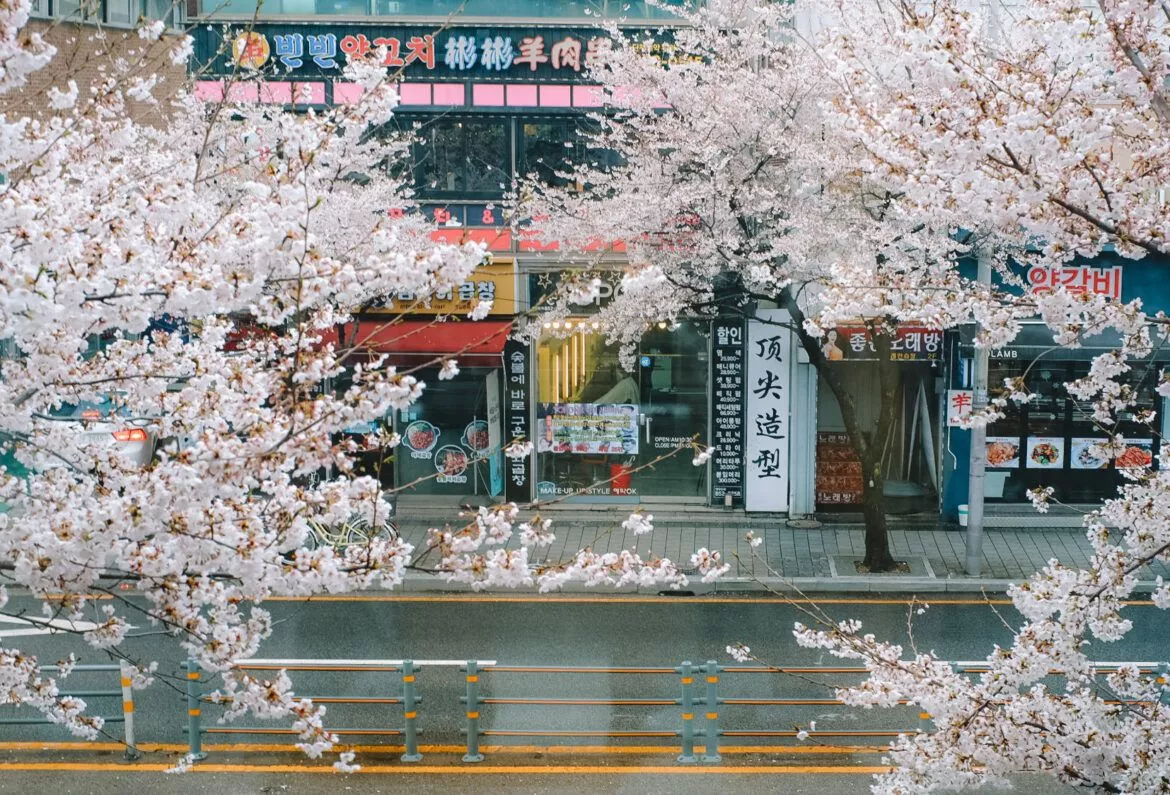 Gallery: Discovery Nangok Road During